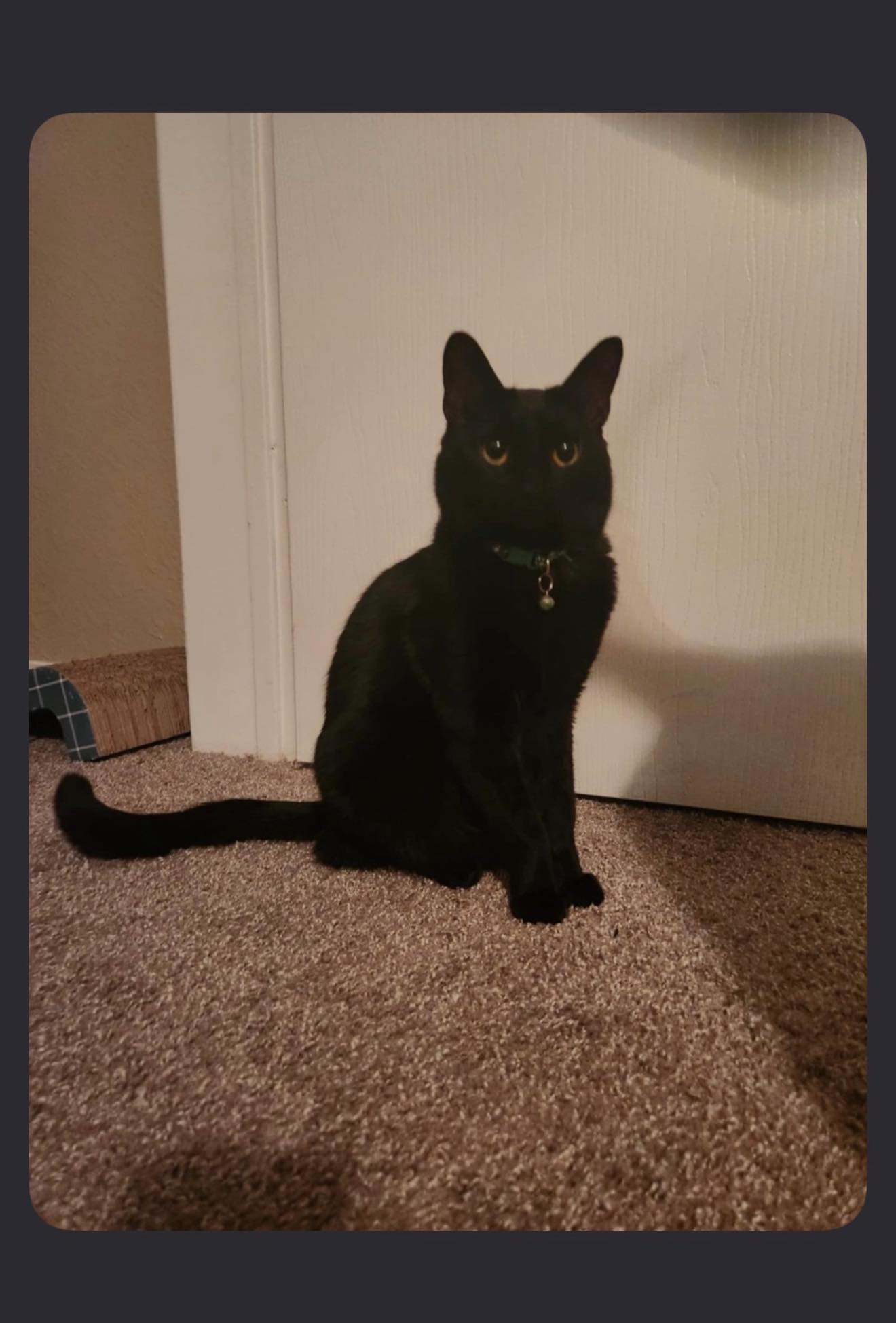 Ruben