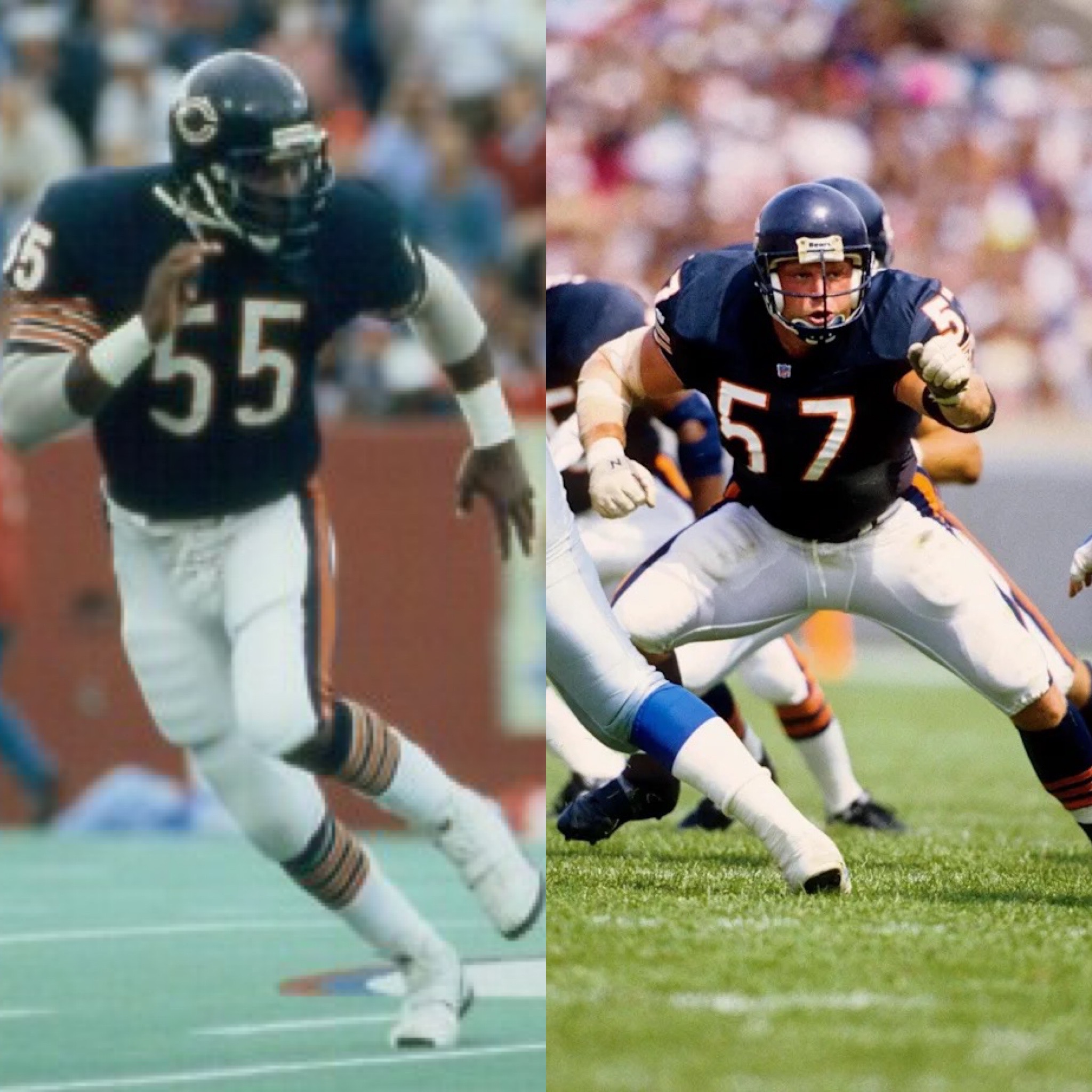 Home Team Collectibles's image