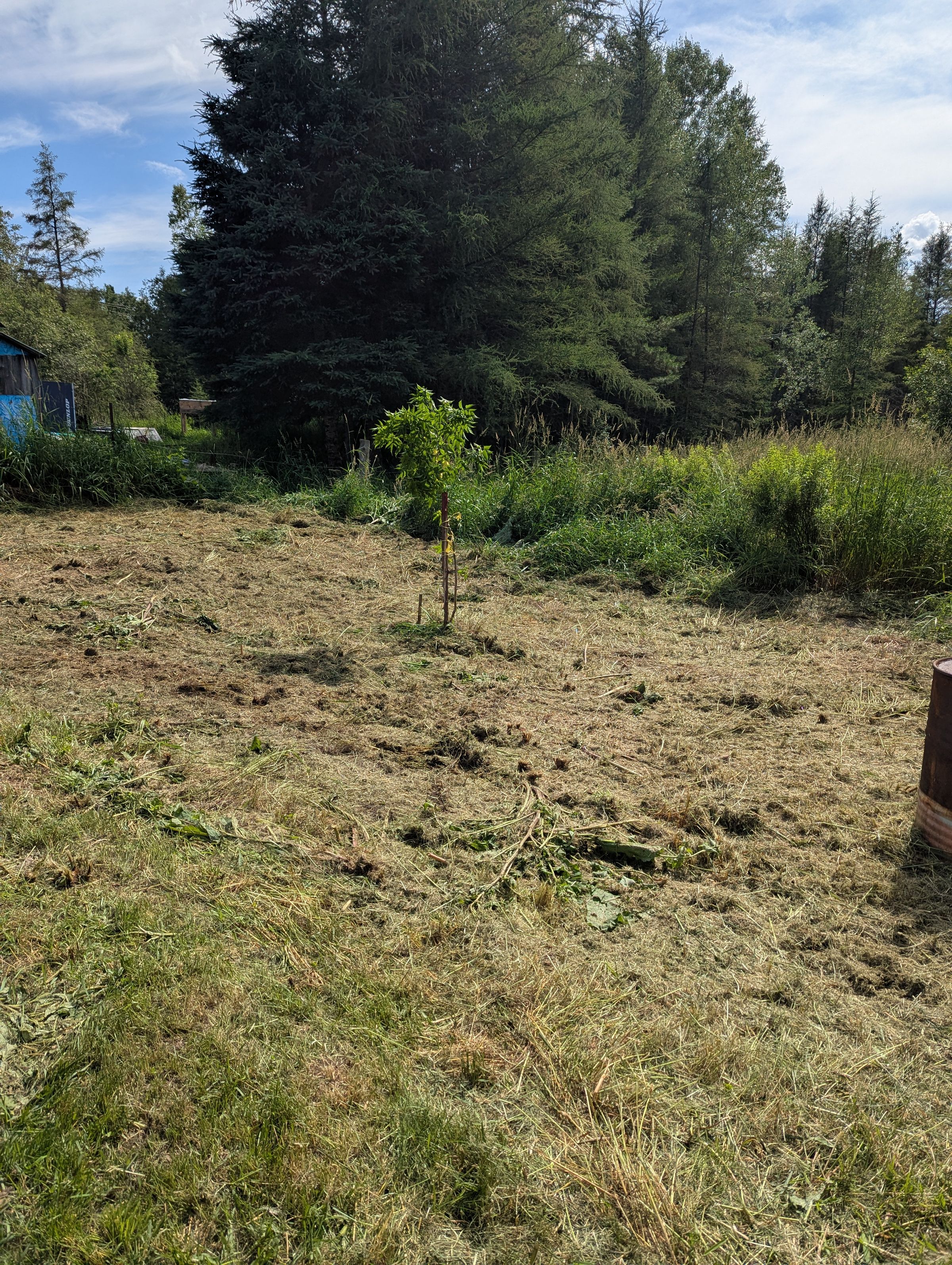 Frontenac Stump and 
Yard Services's image