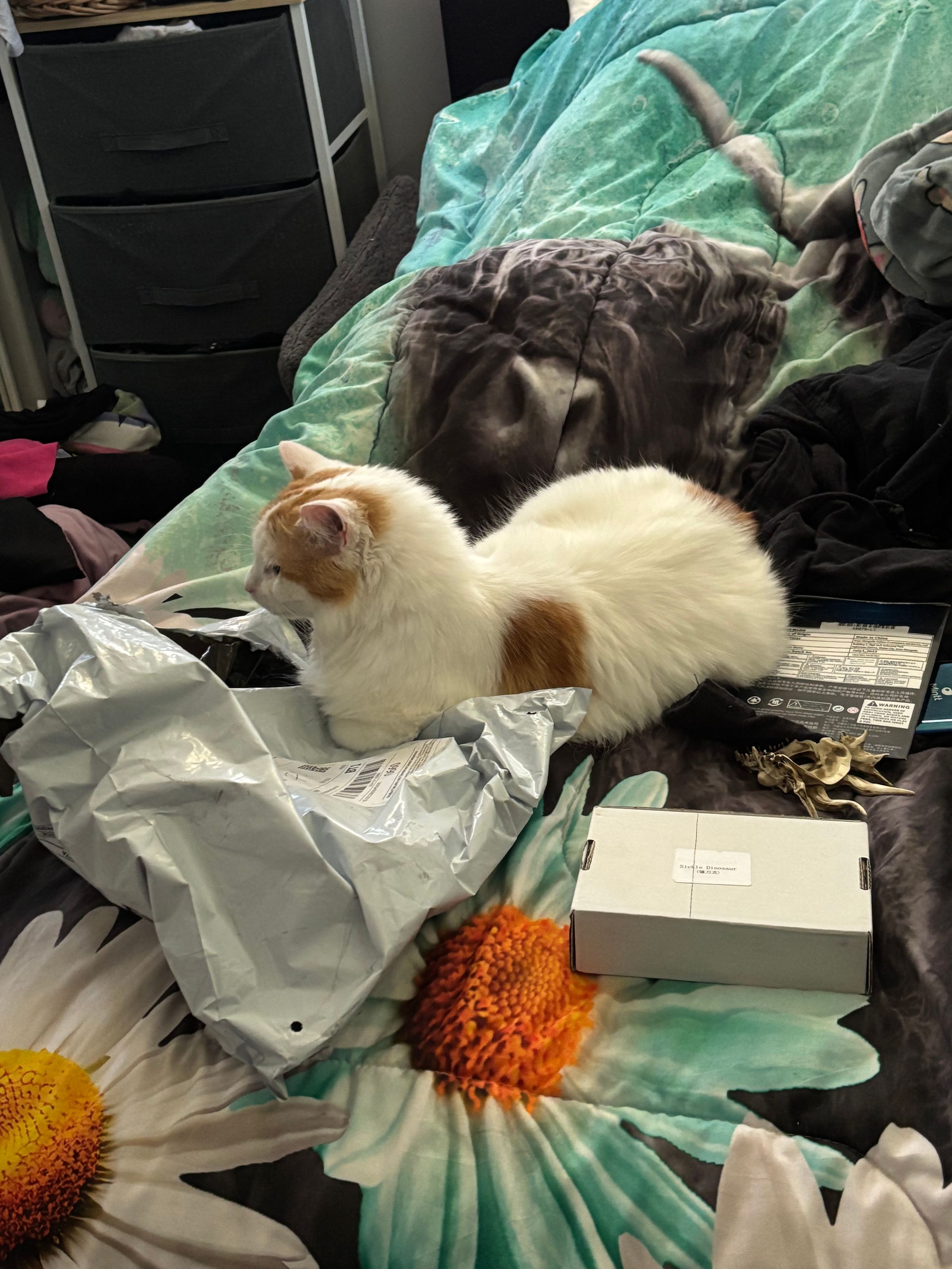 We Wheely Care's image