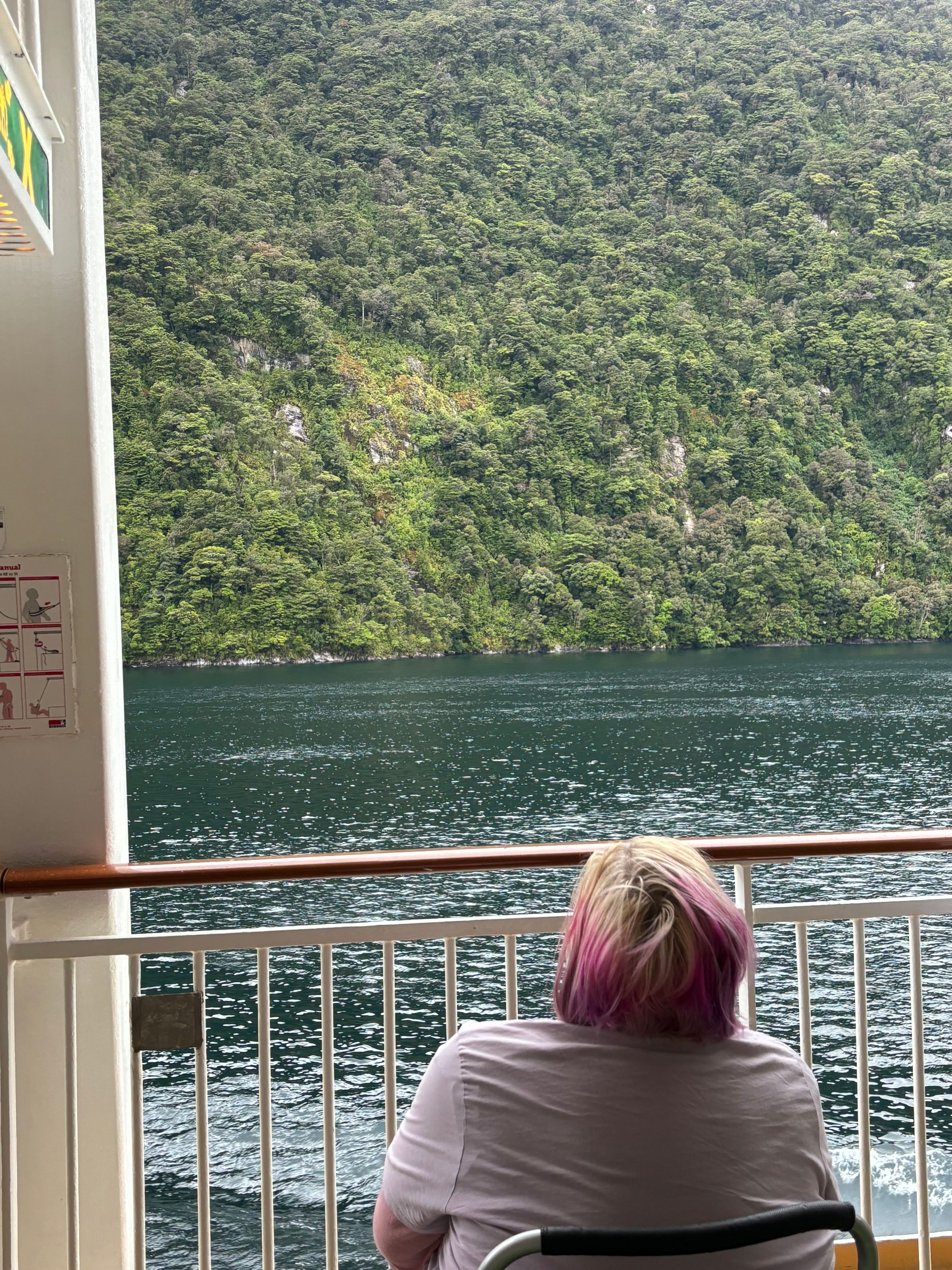 We Wheely Care's image