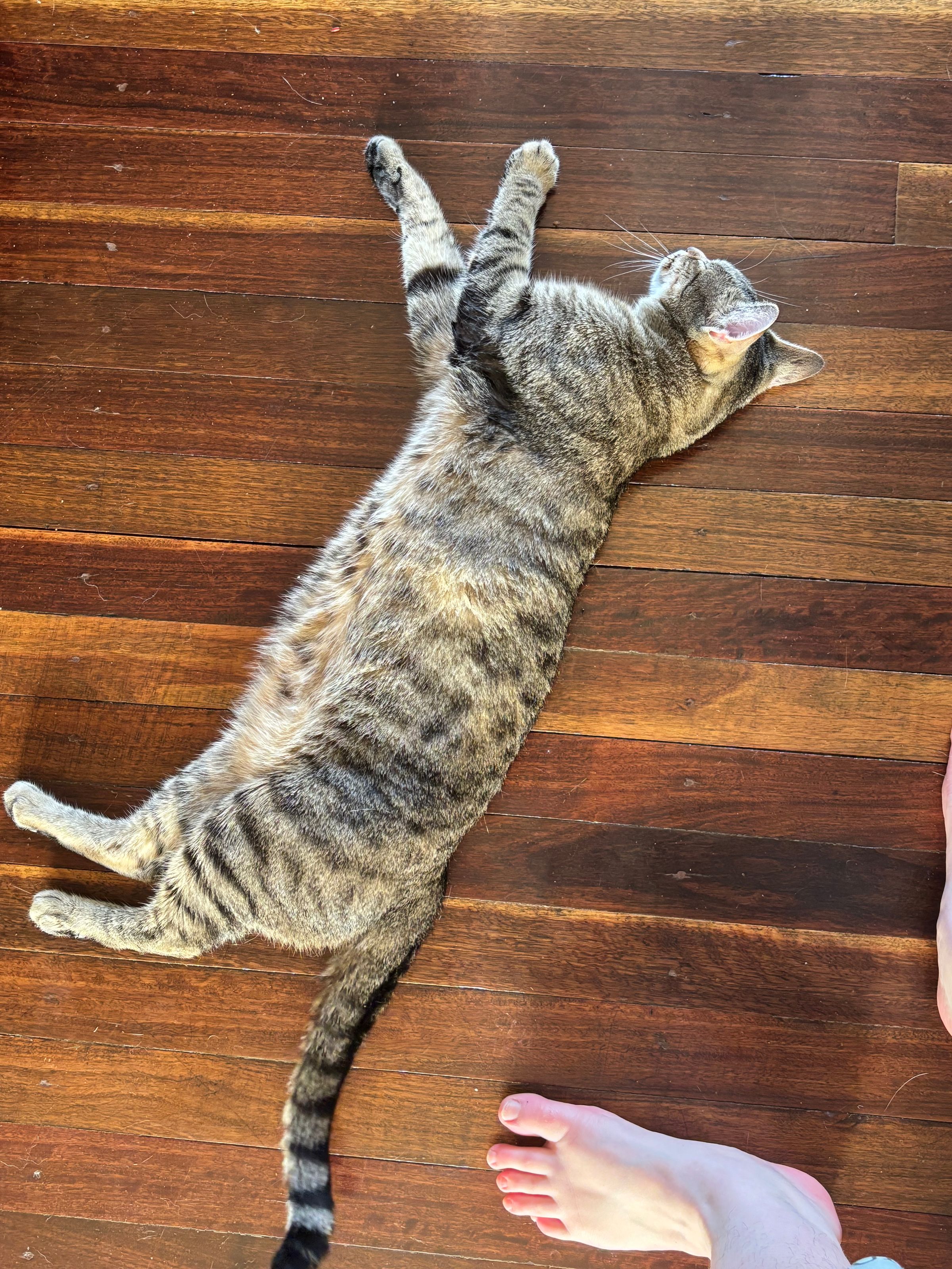 We Wheely Care's image