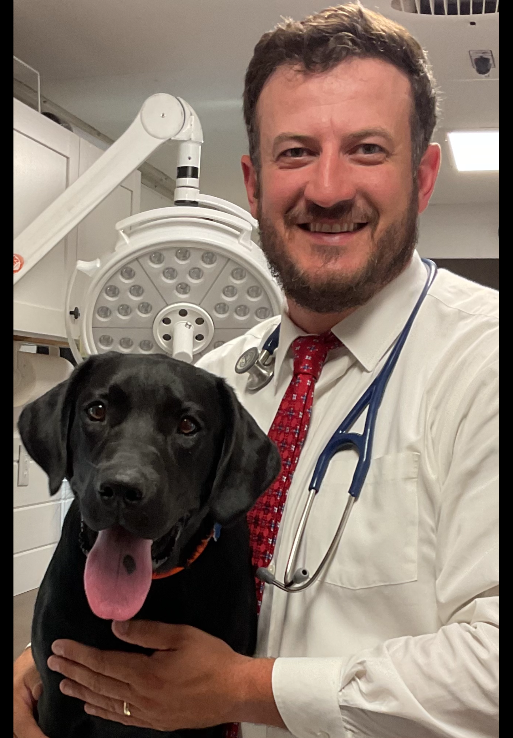 SE PA Mobile Veterinary Surgeon's image