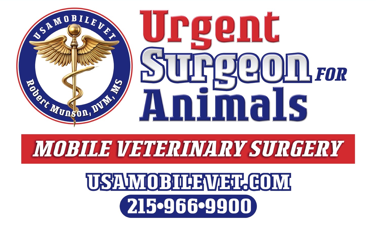 Affordable Veterinary Surgery's image