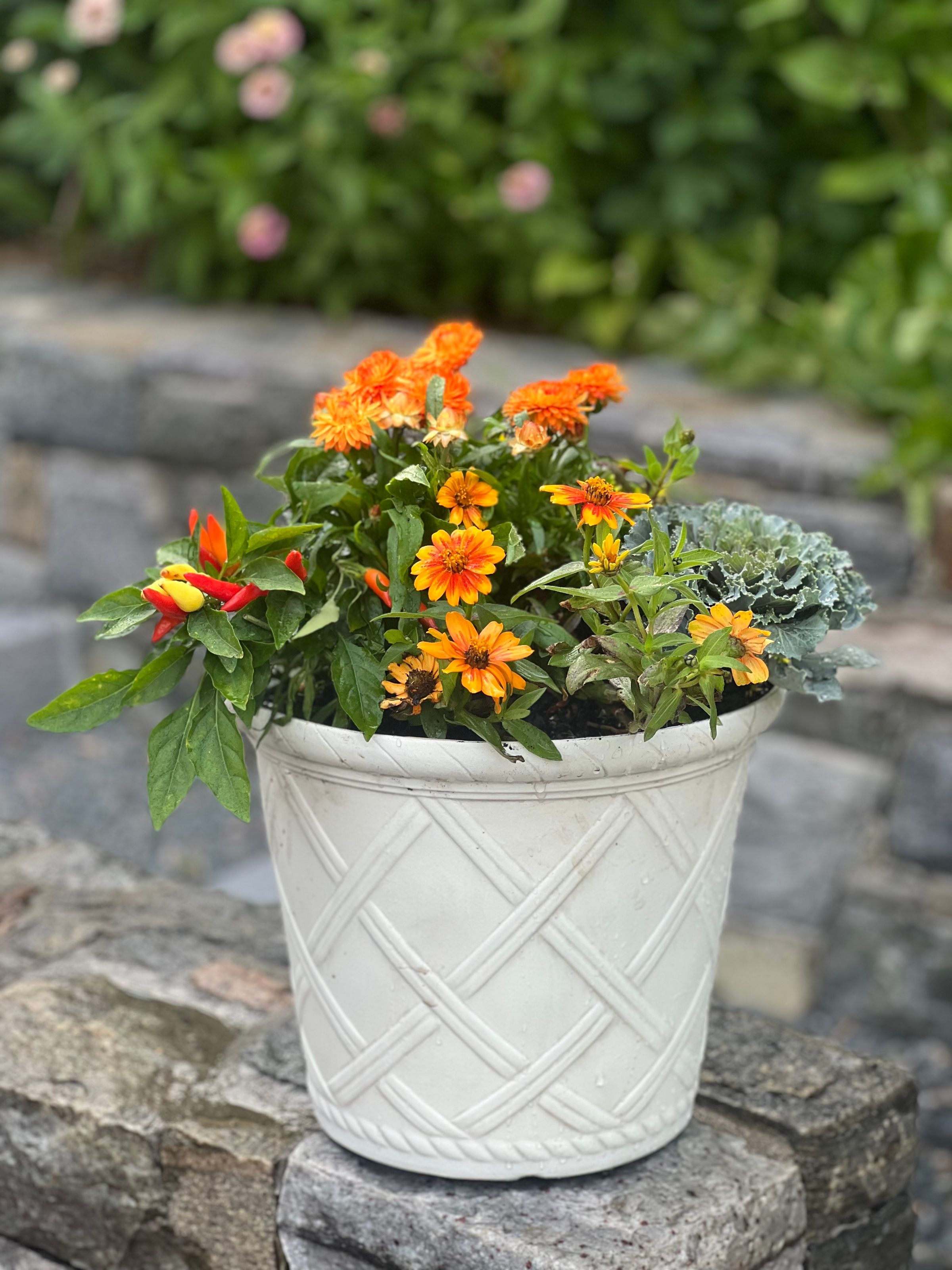 Seasonal fun with fall colors 