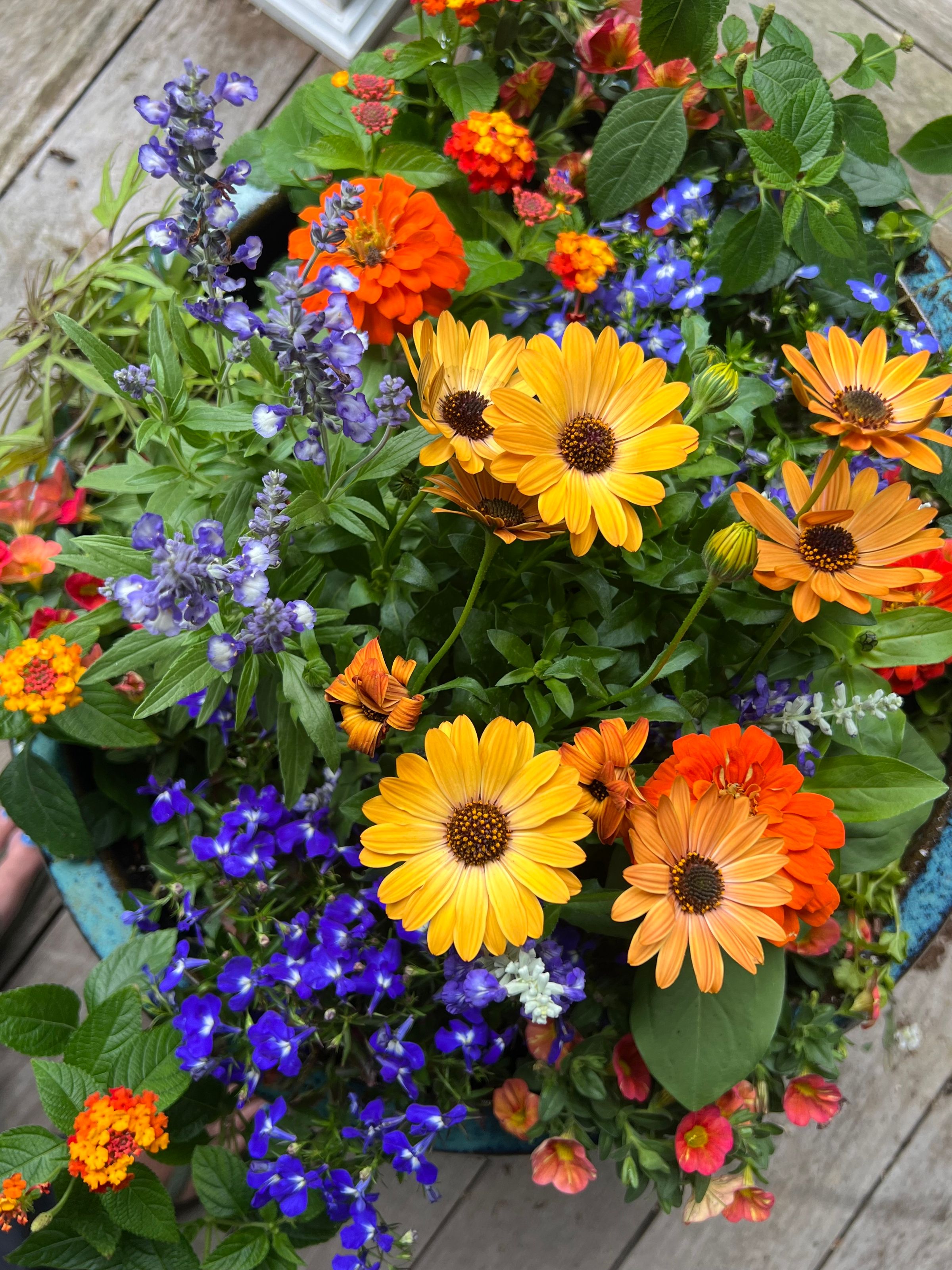 Complimentary hues of orange and blue 