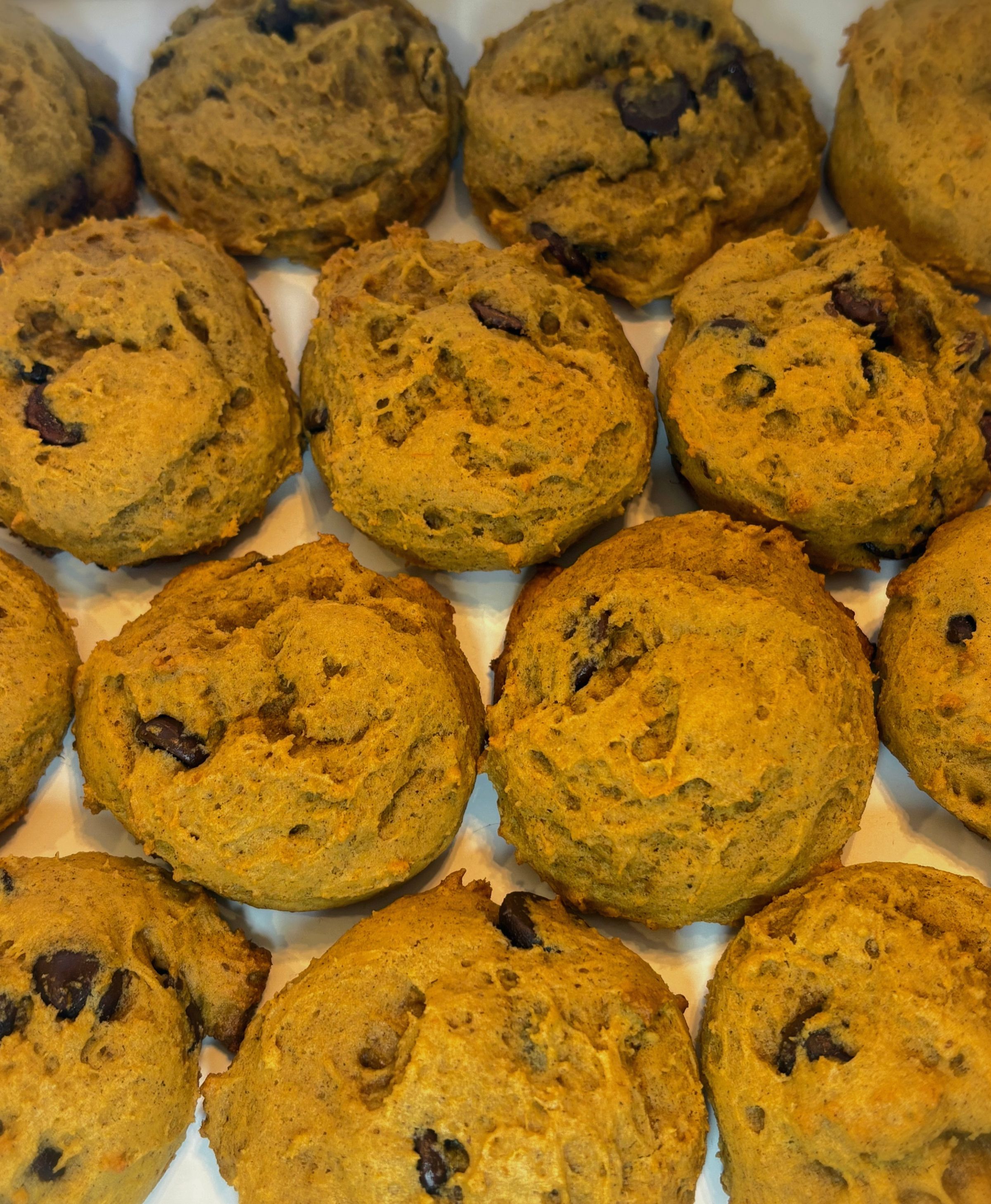 Pumpkin Chocolate Chip Cookies