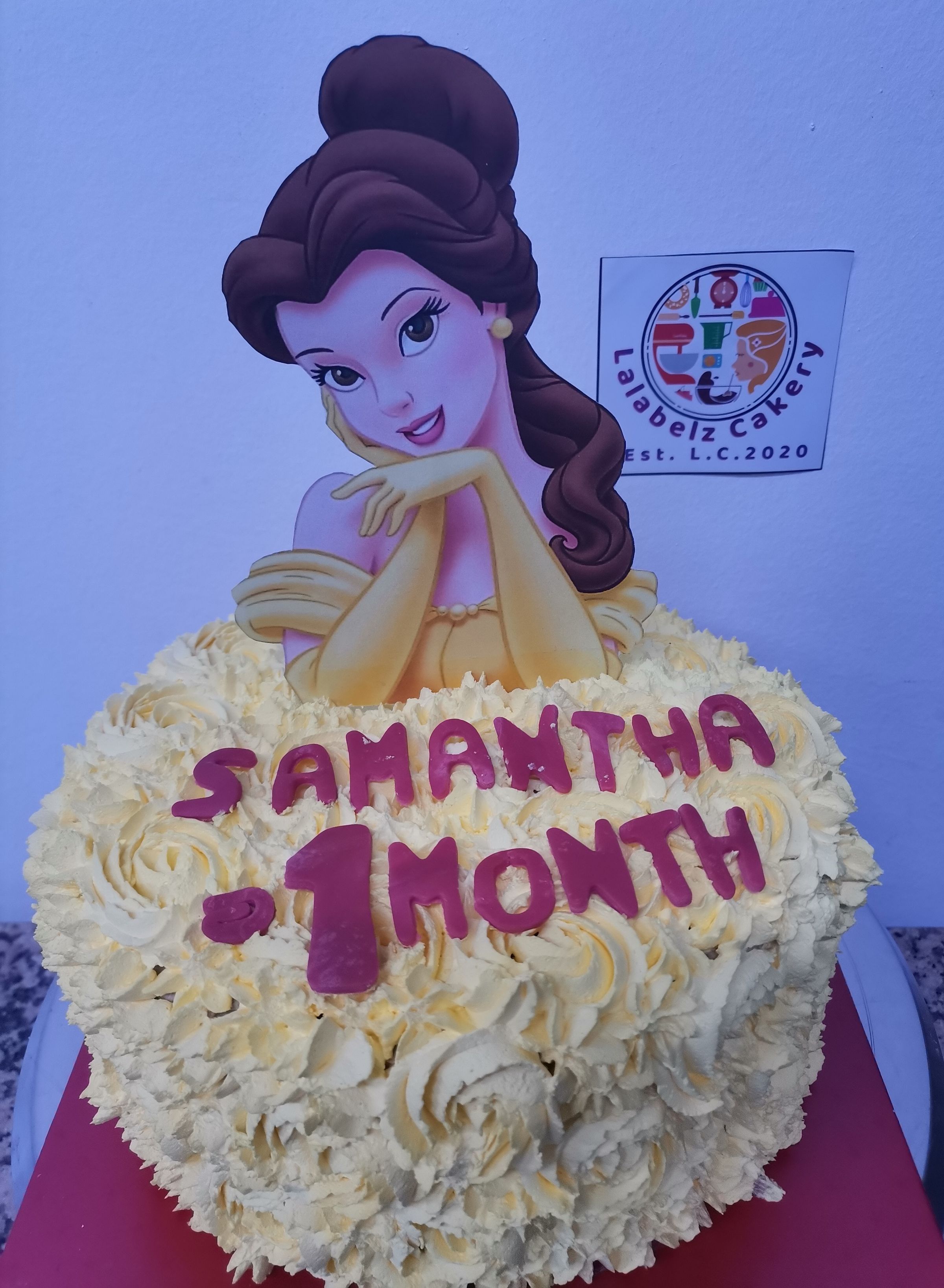 Ladisney Cake (KD10.000)