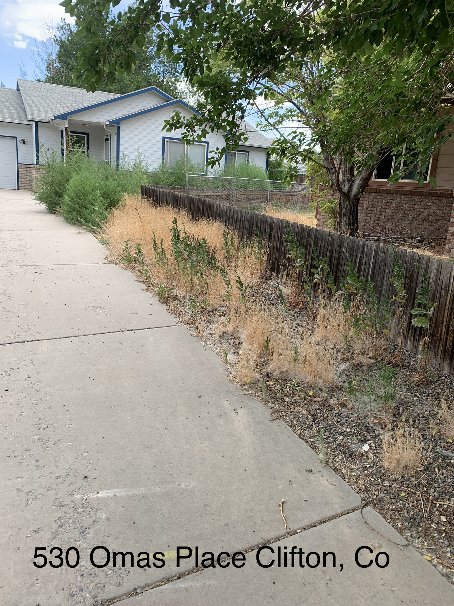 C3 Landscaping LLC's image