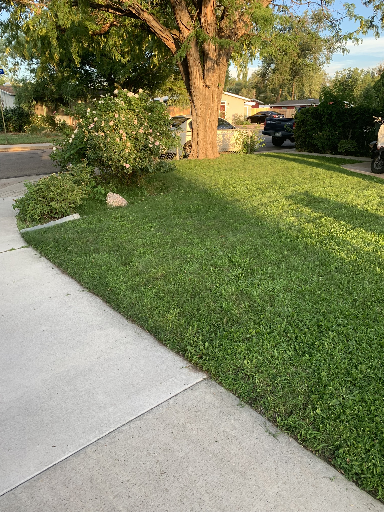 C3 Landscaping LLC's image