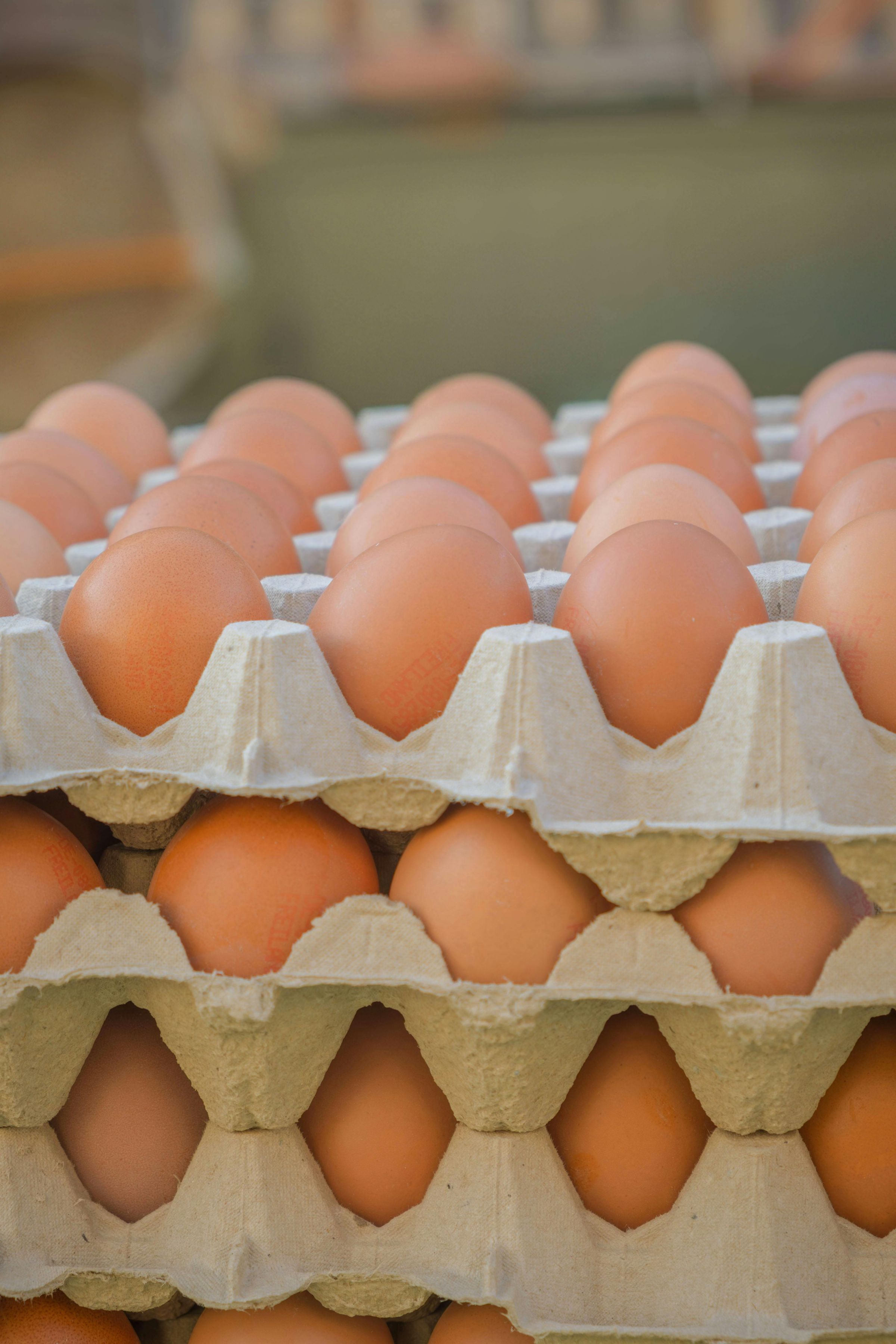 Carnicería La Peninsula 's image