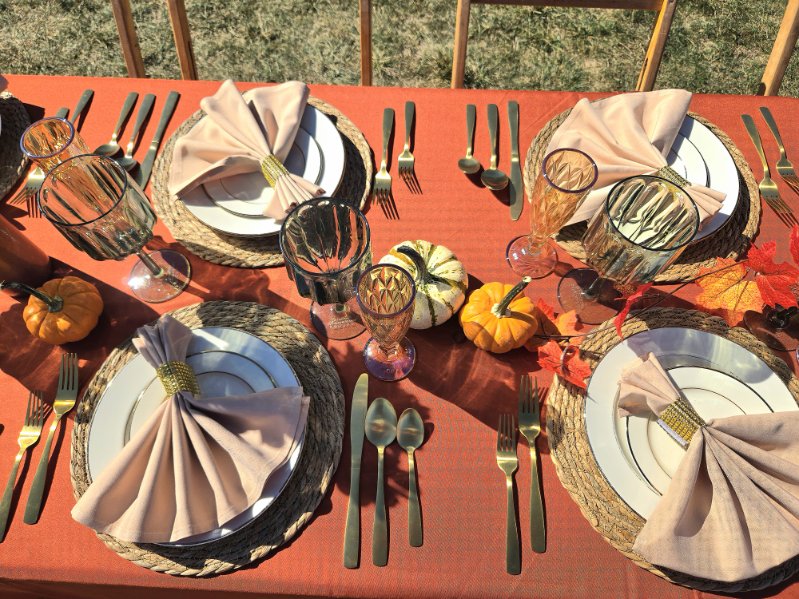The Velvet Napkin's image