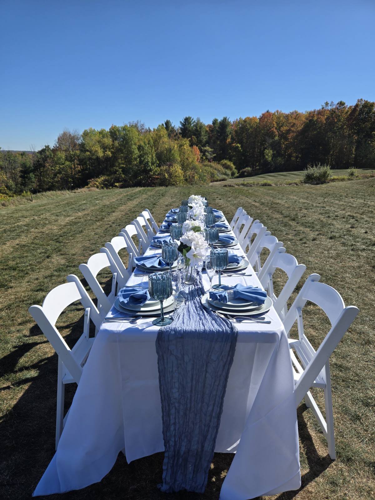 The Velvet Napkin's image