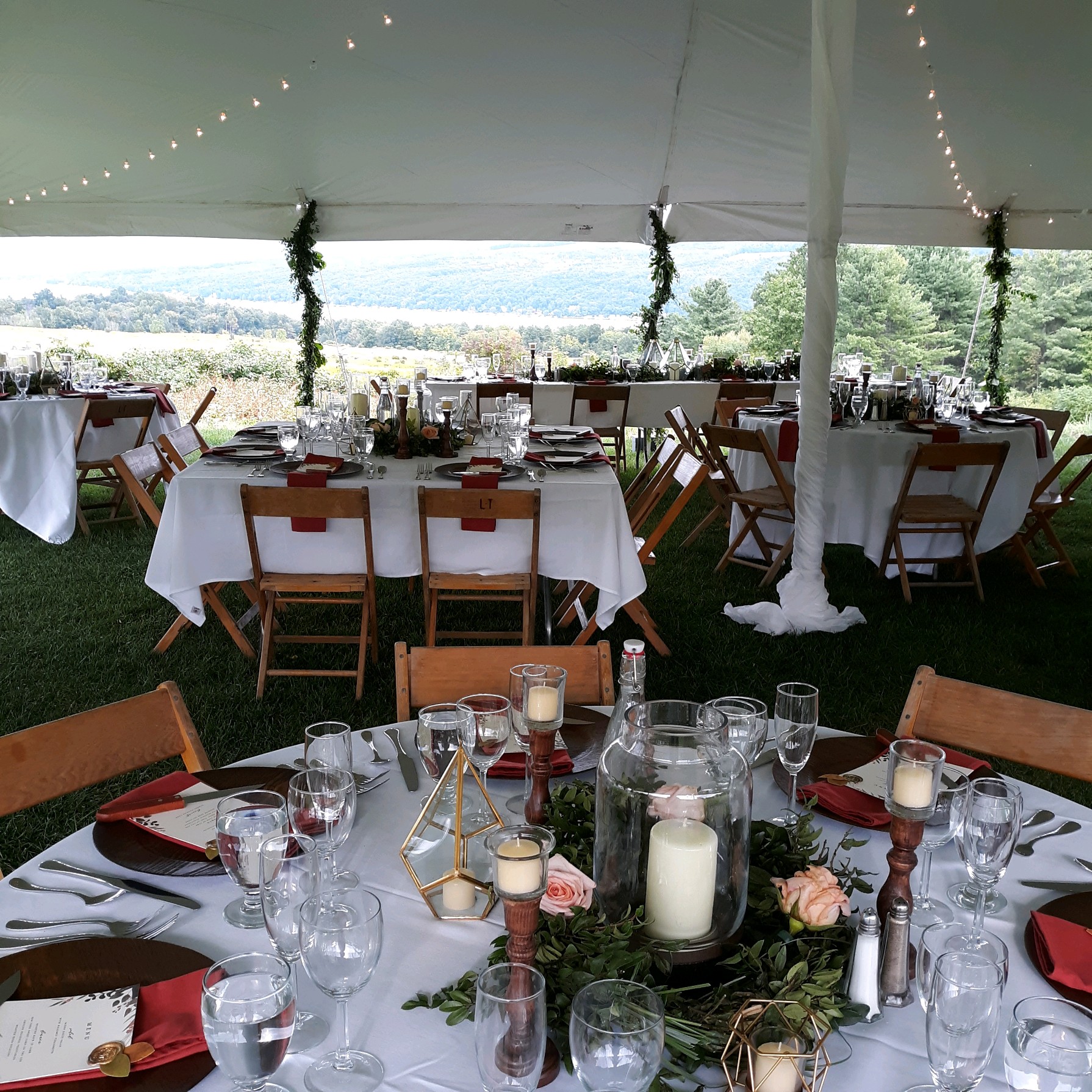 The Velvet Napkin's image