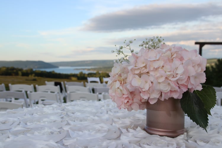 The Velvet Napkin's image