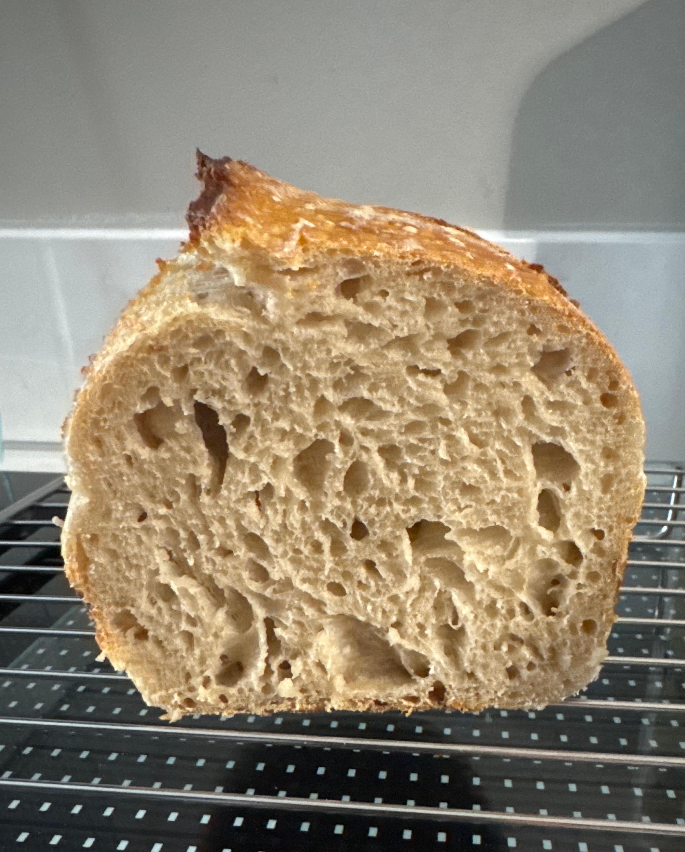 Artisan Sourdough Loaf