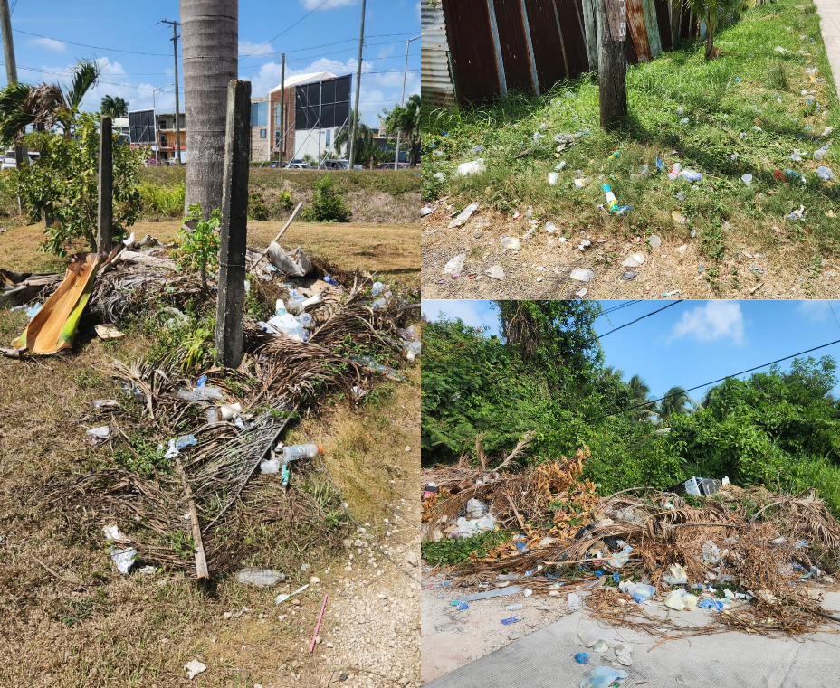 Trash around Belize