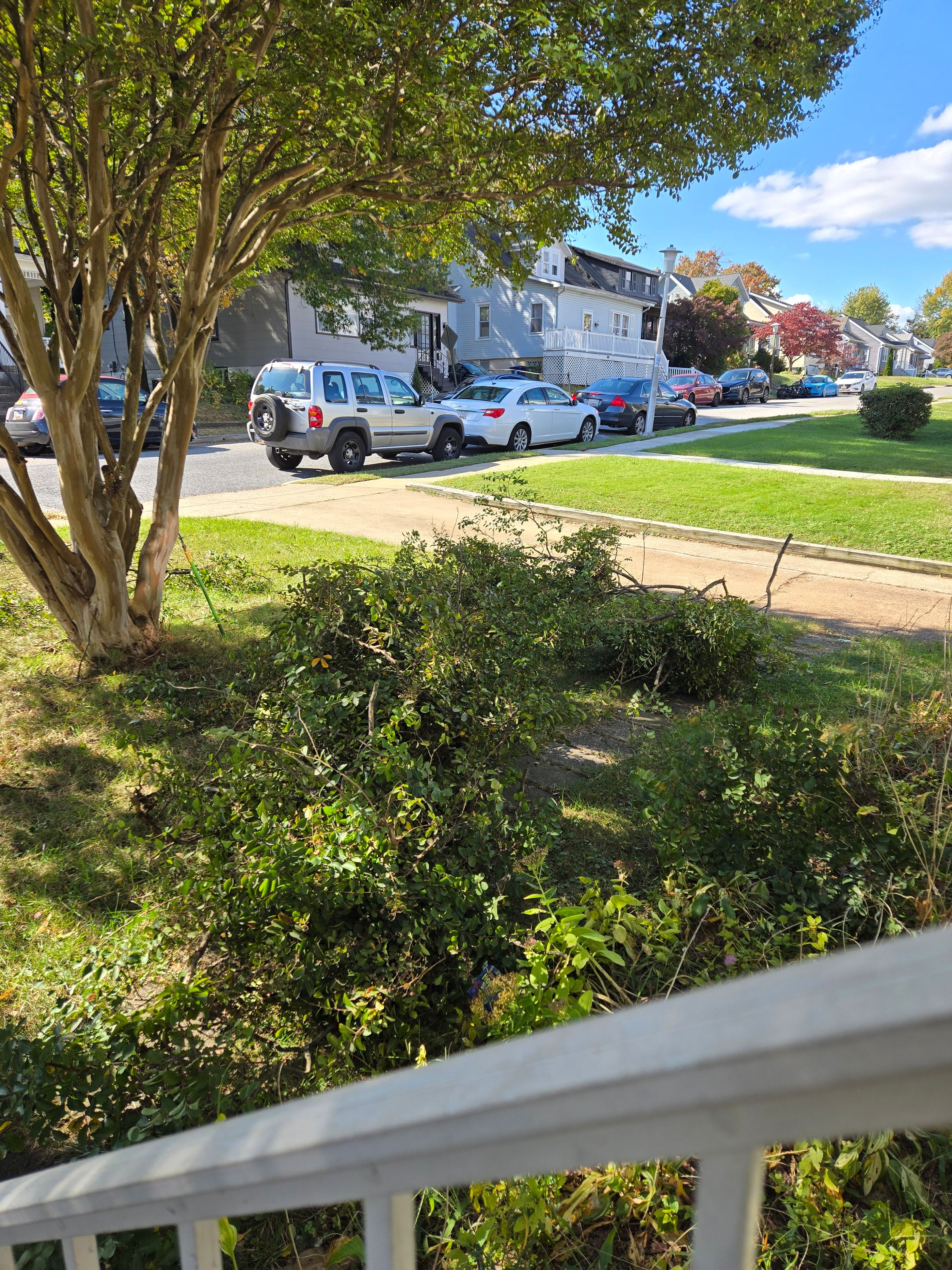 United Landscaping's image