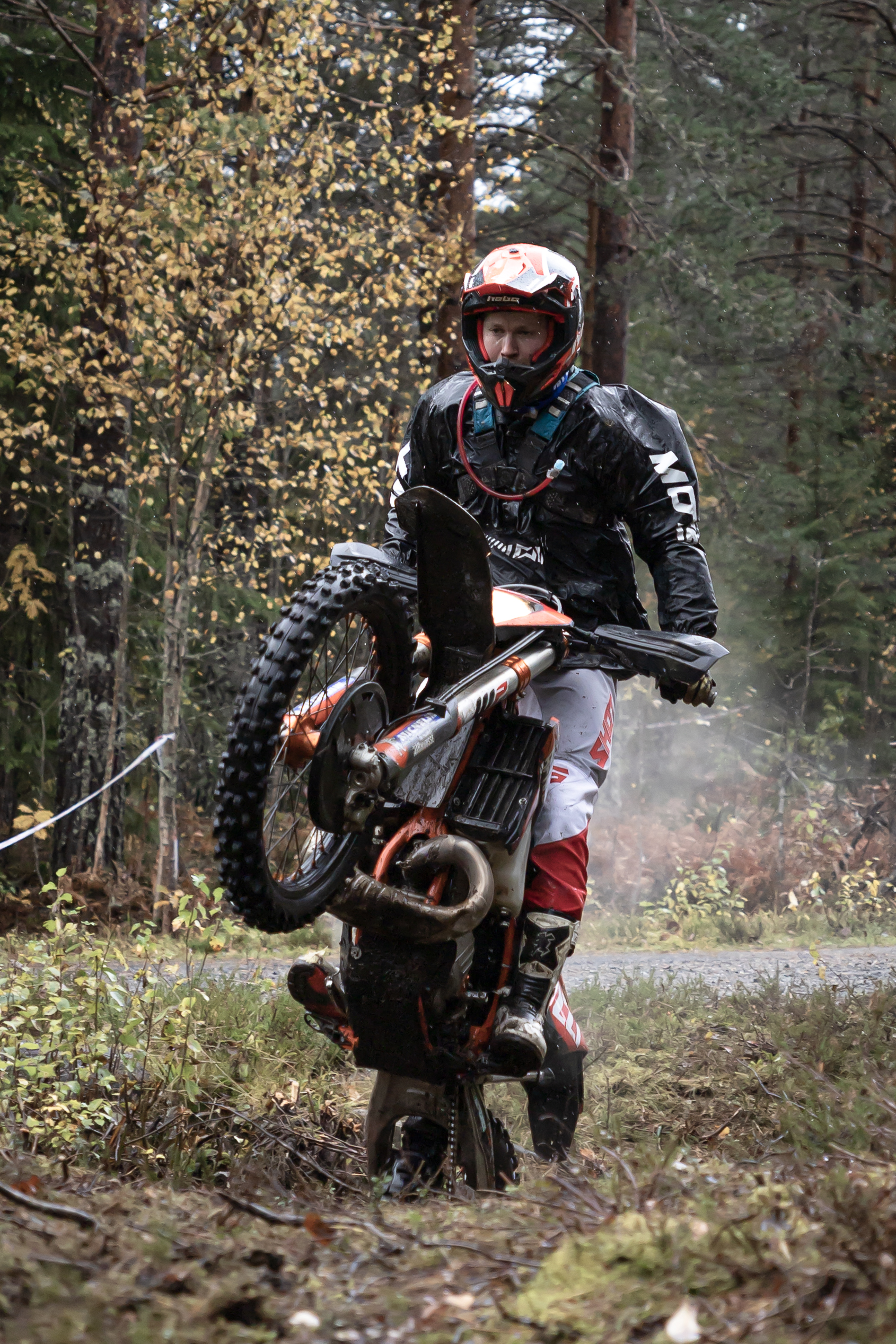 Jjordene Photography's image