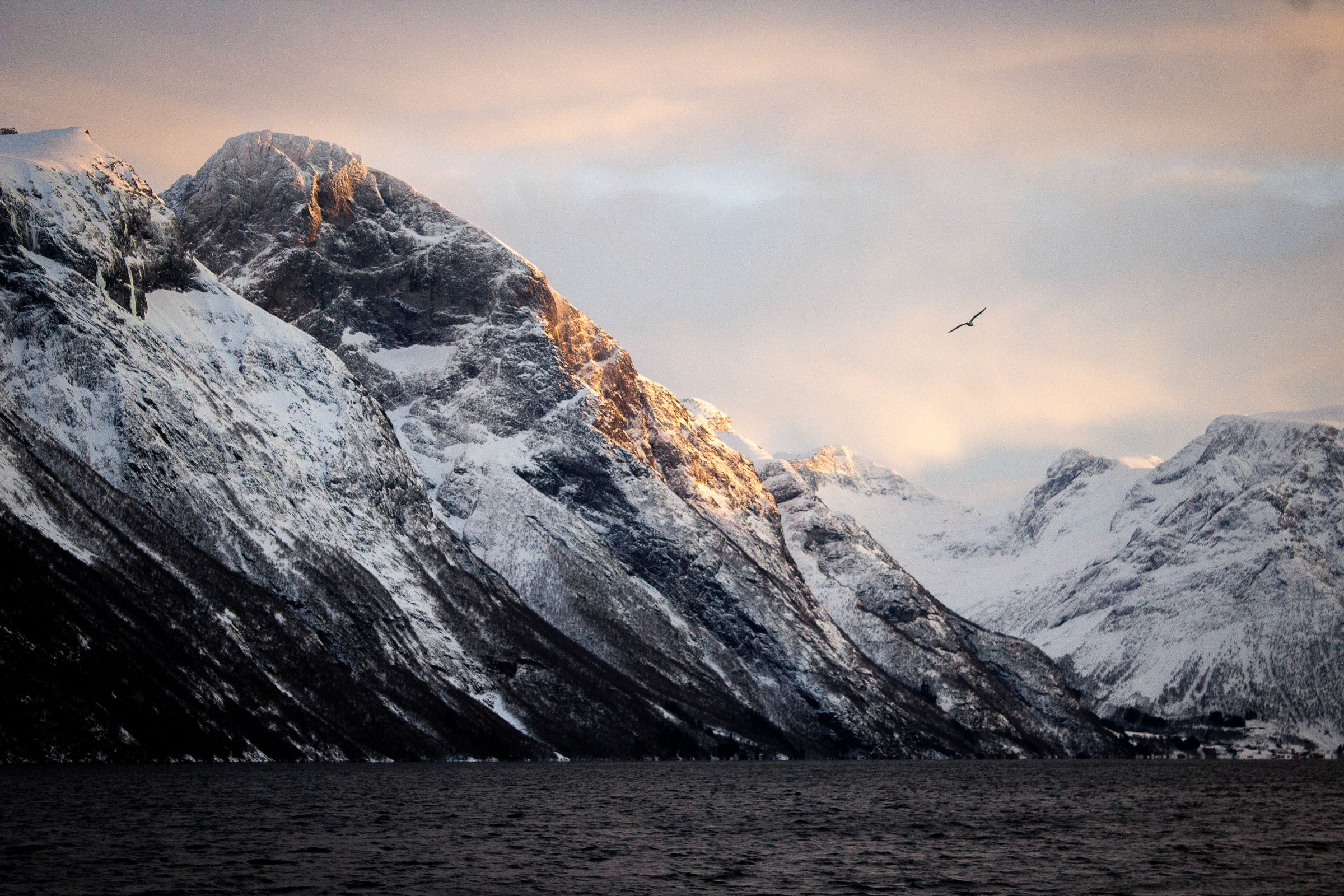 Jjordene Photography's image