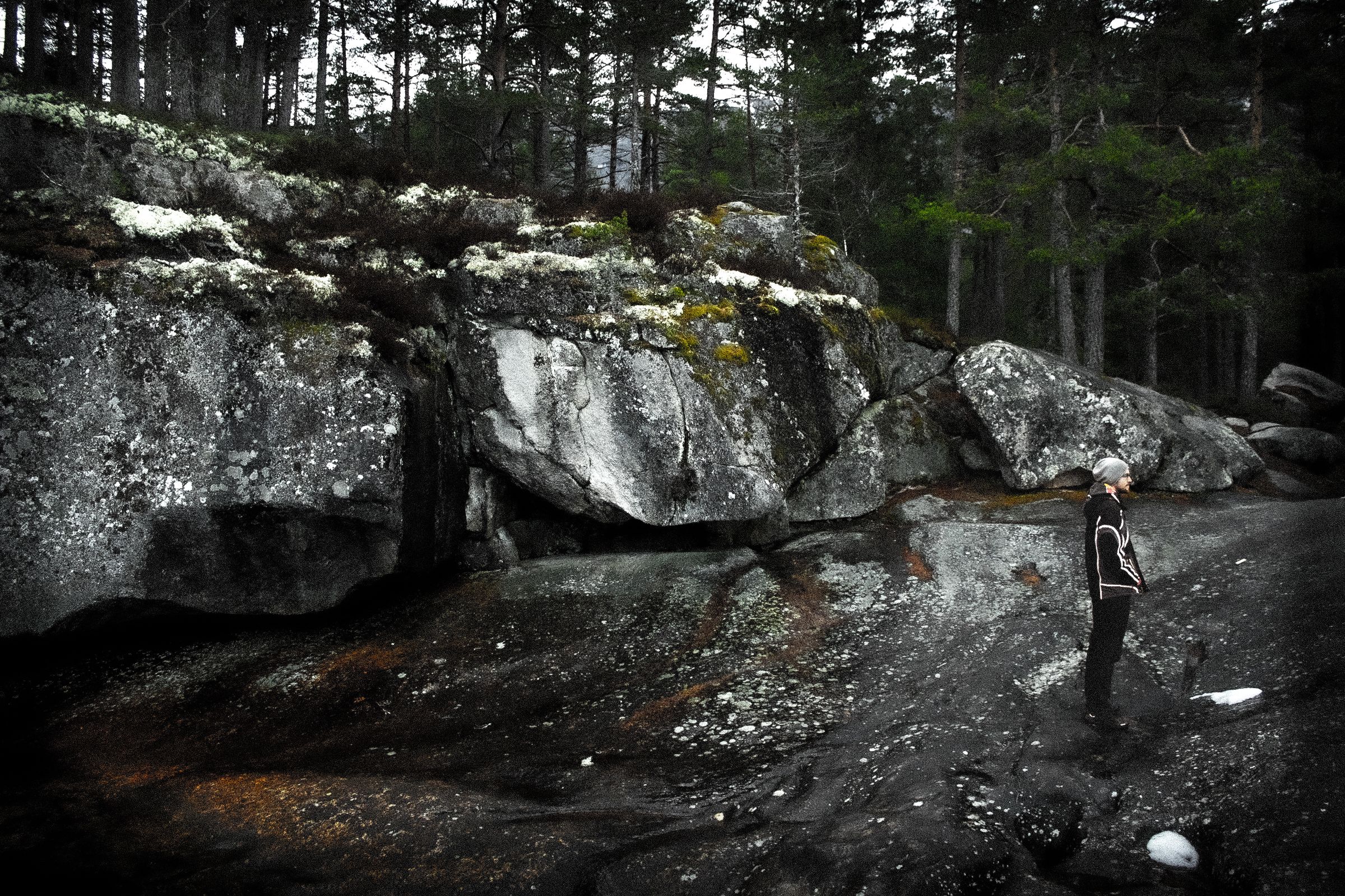 Jjordene Photography's image