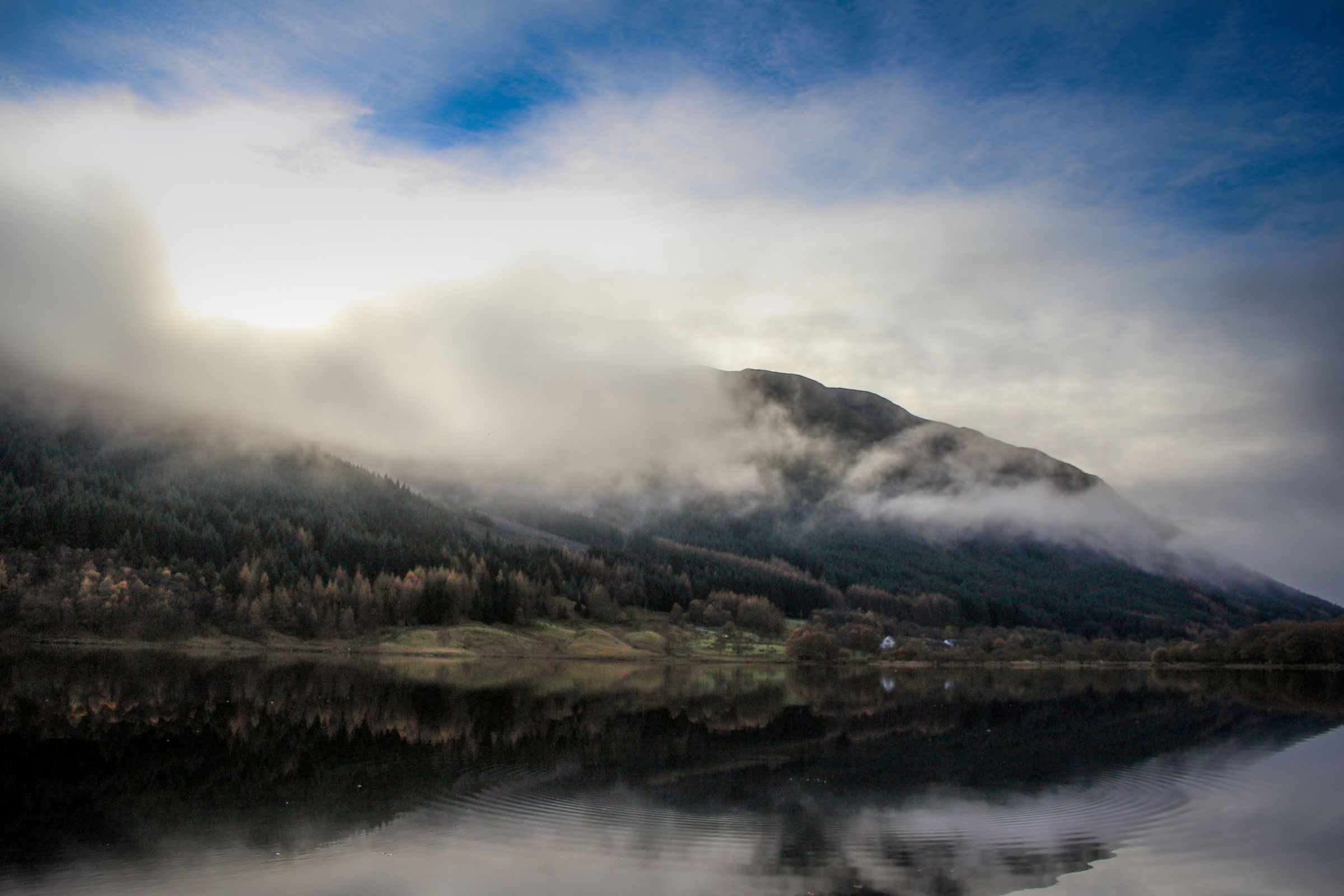 Jjordene Photography's image