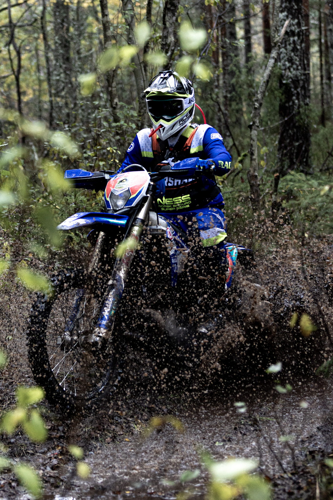 Jjordene Photography's image