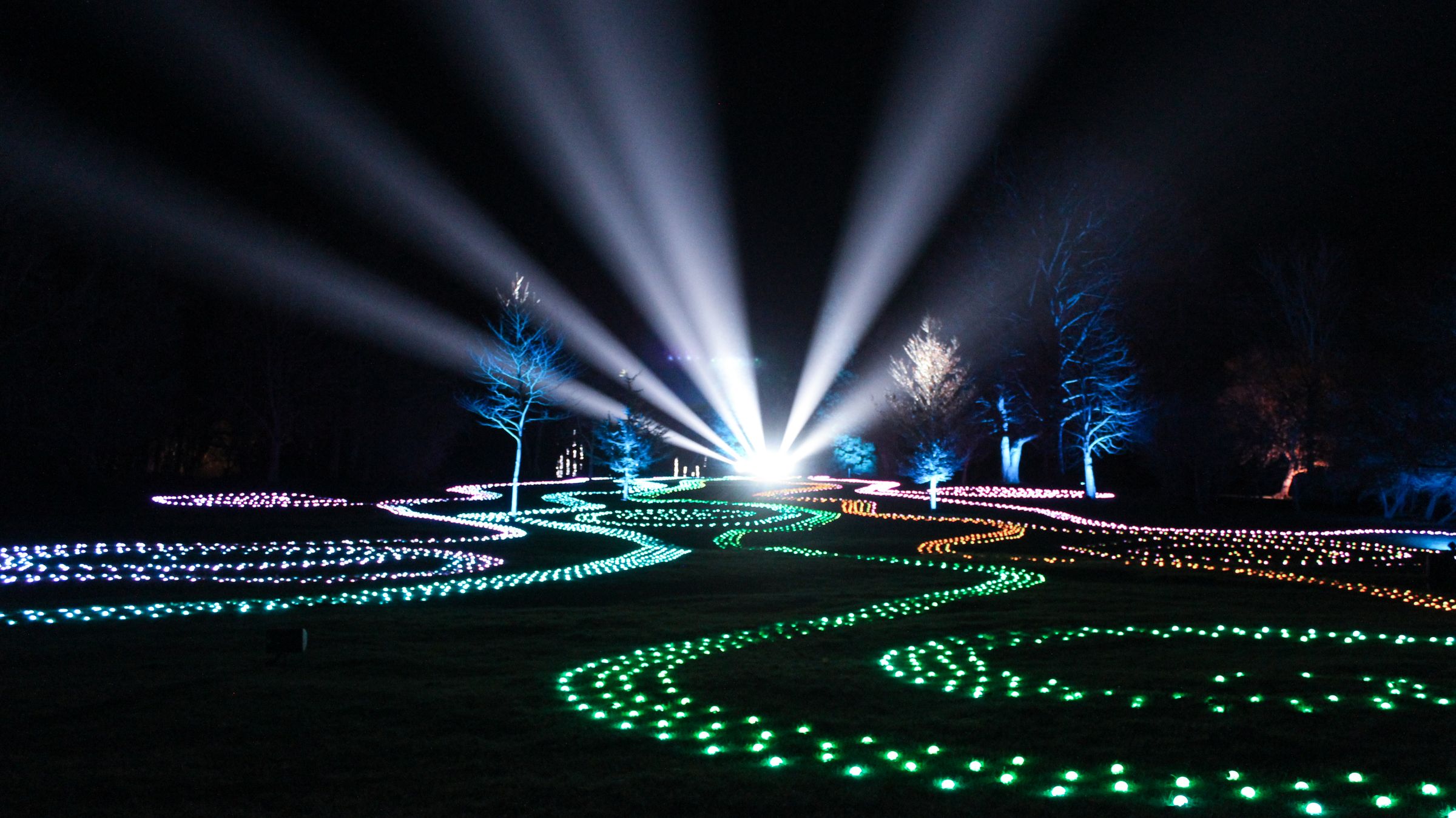 Jjordene Photography's image