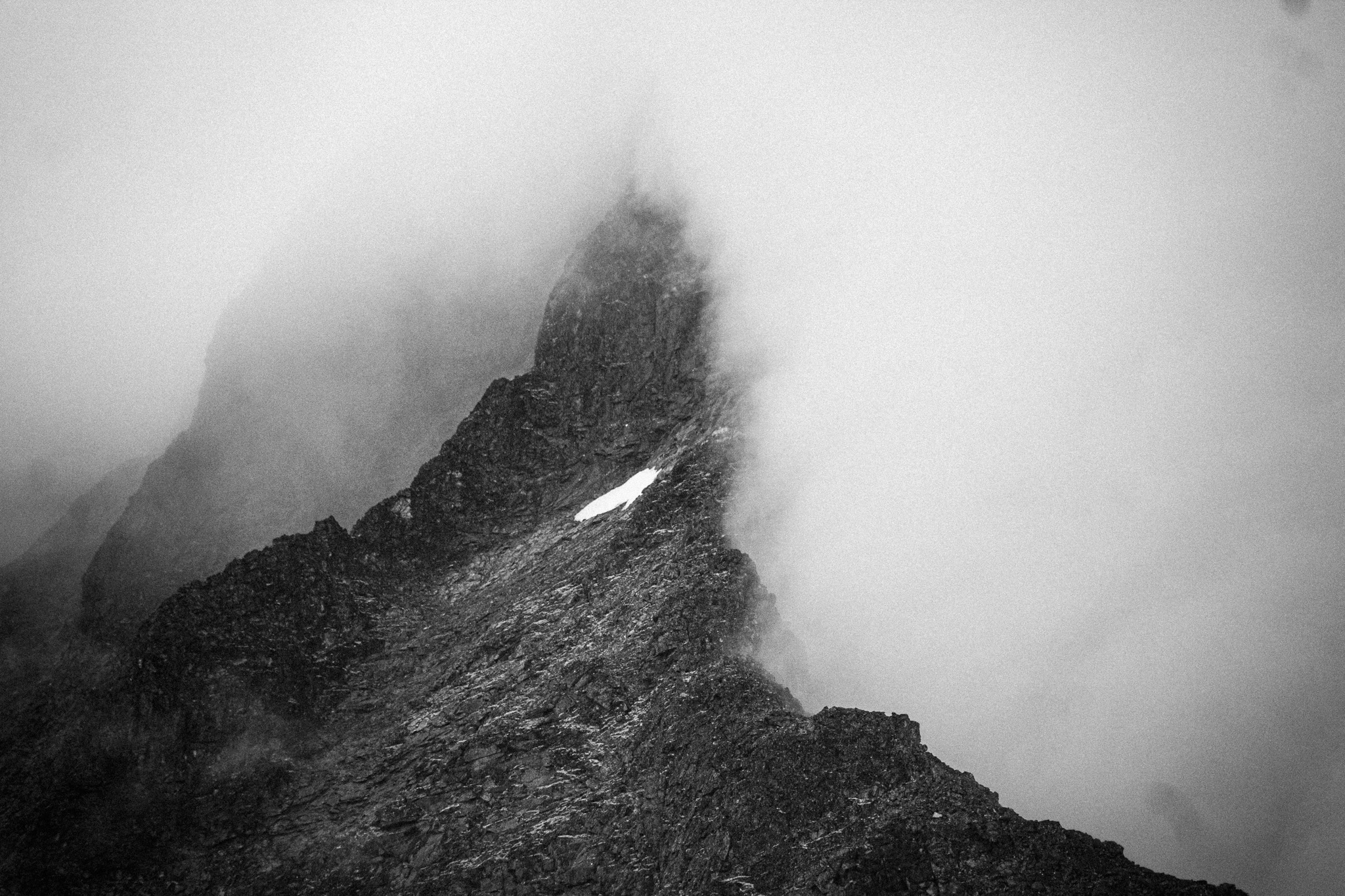 Jjordene Photography's image