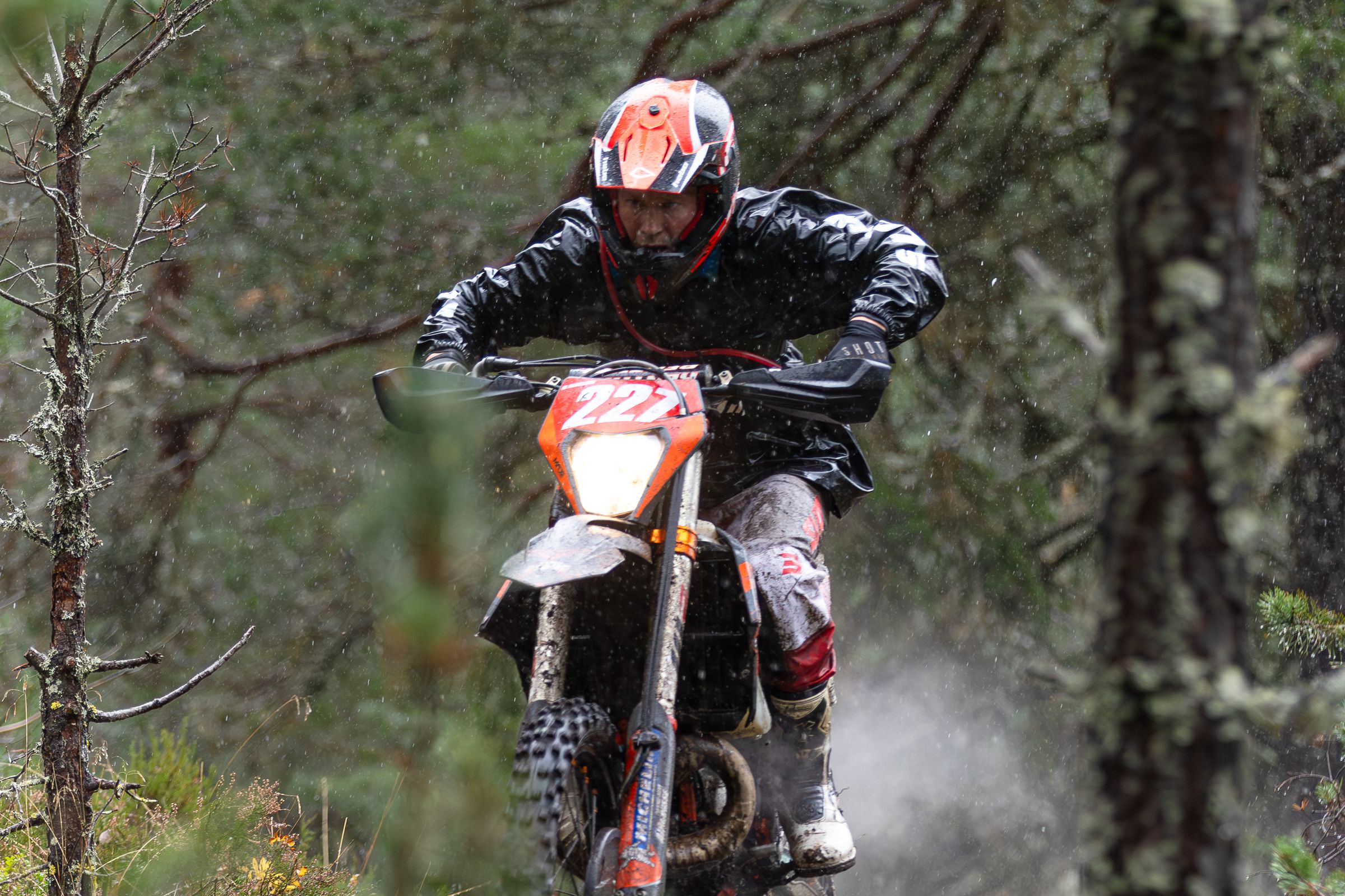 Jjordene Photography's image