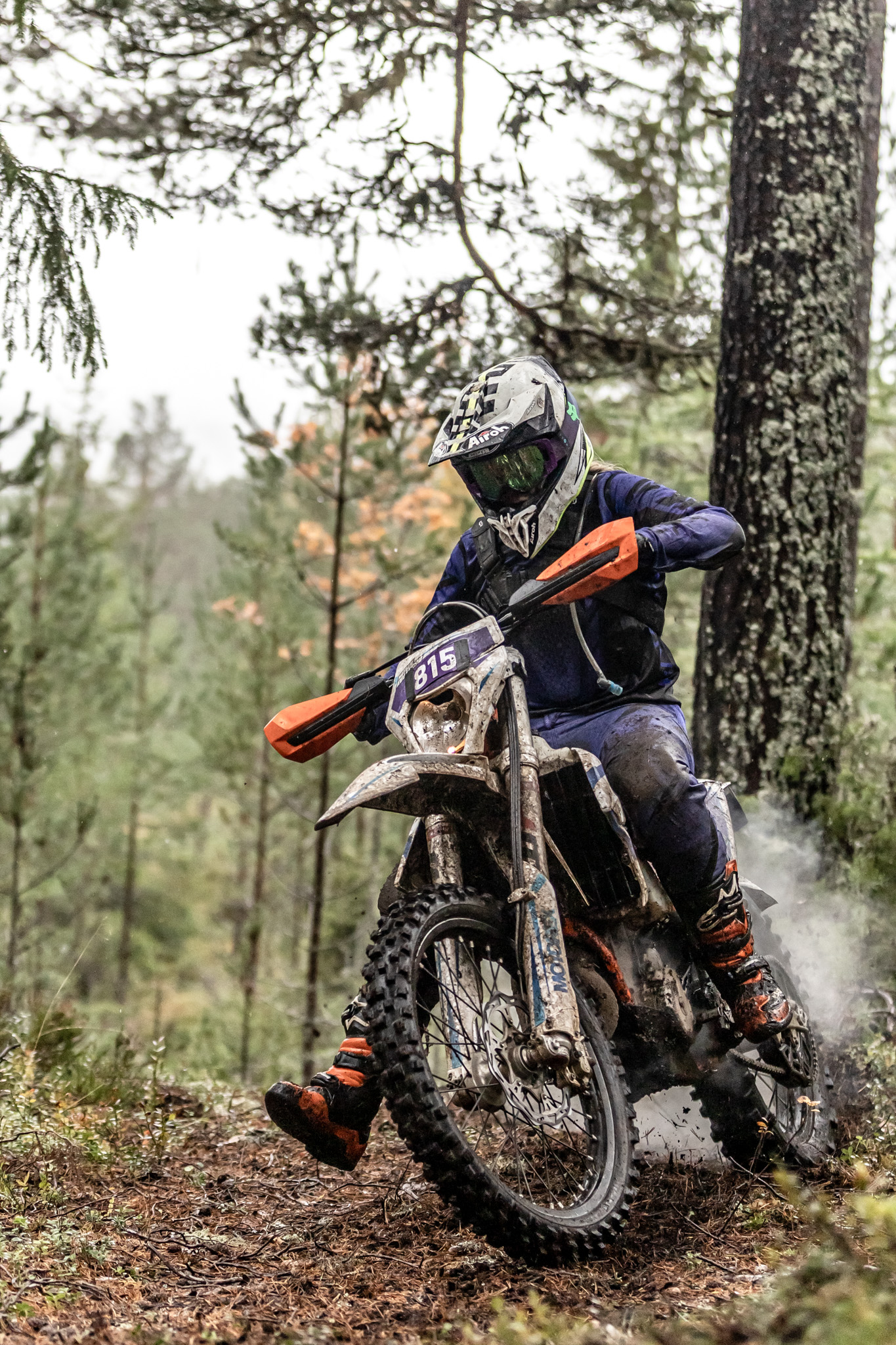 Jjordene Photography's image