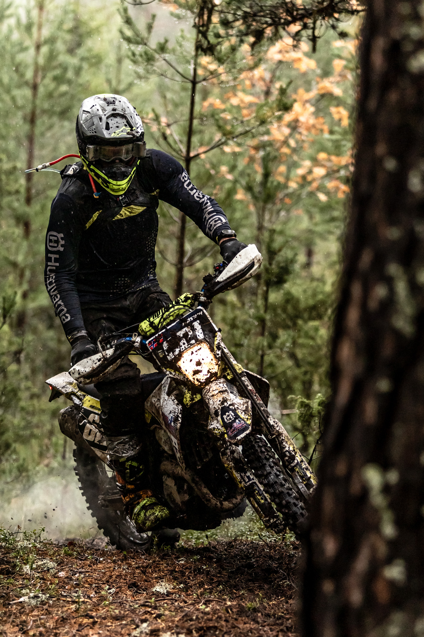 Jjordene Photography's image