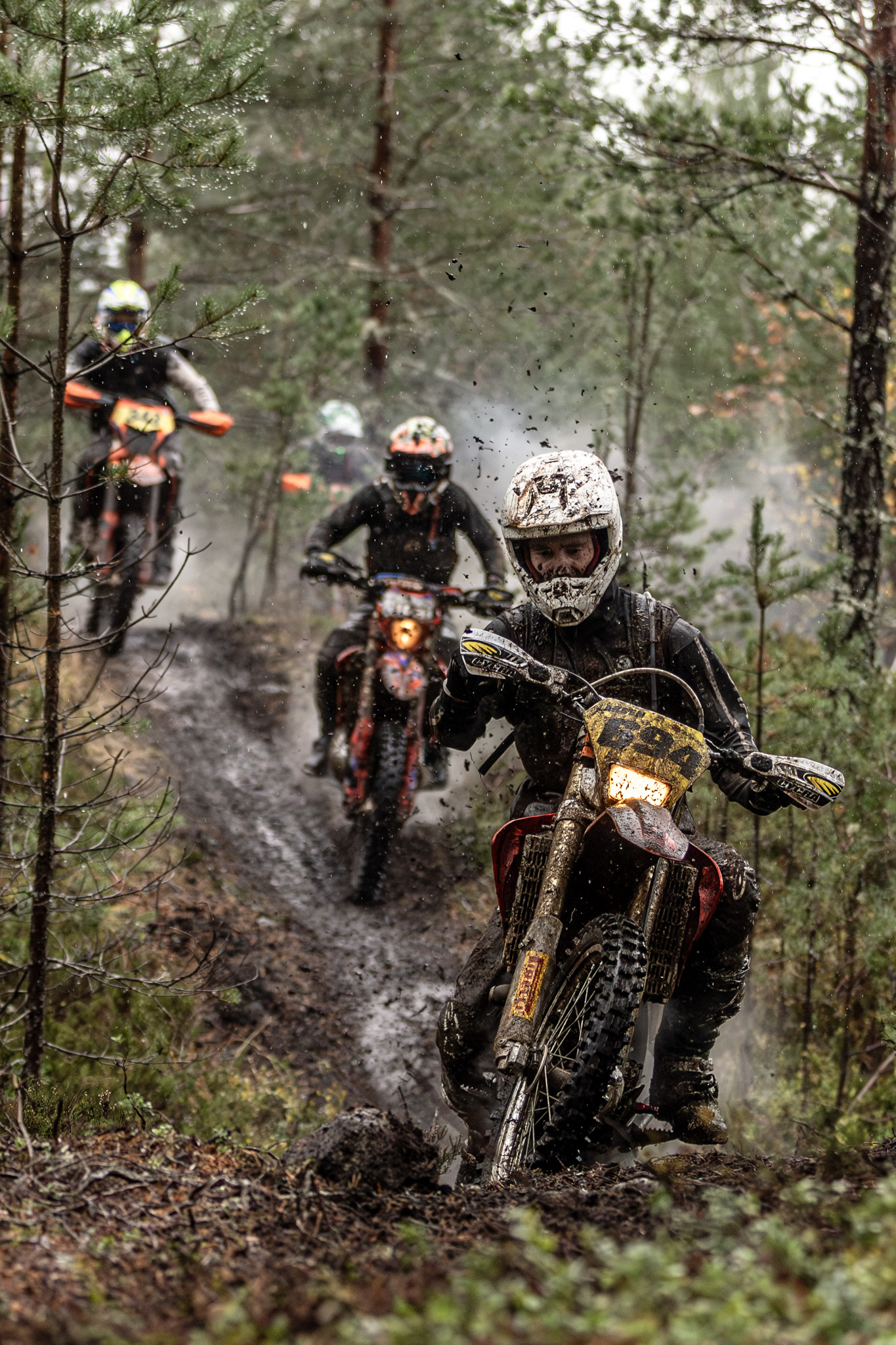 Jjordene Photography's image