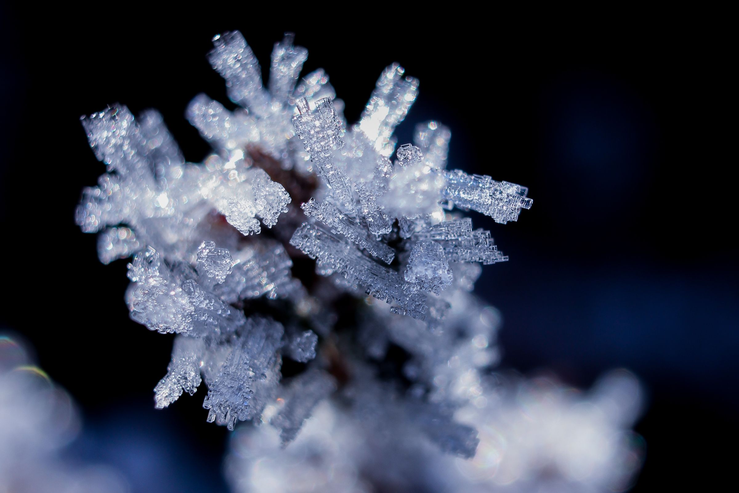 Jjordene Photography's image