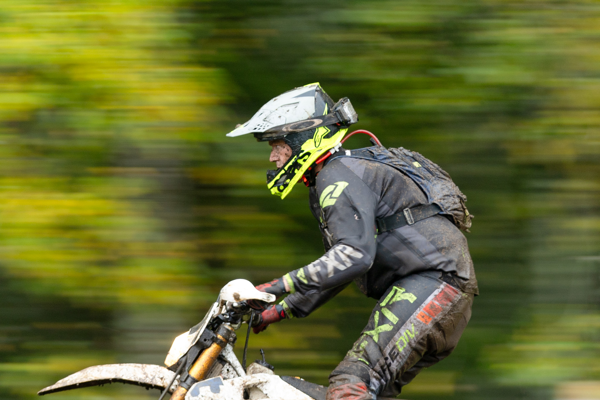 Jjordene Photography's image