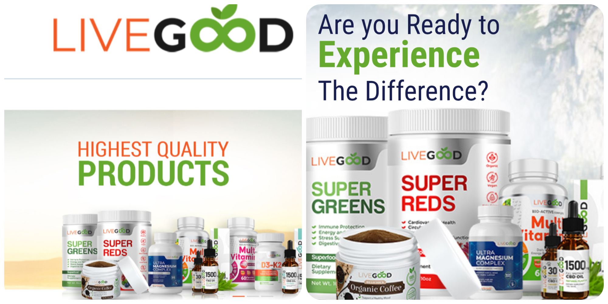 Steady Financial Services 's image