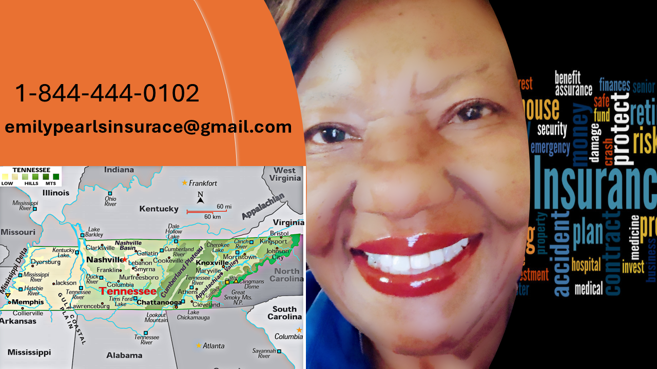 Steady Financial Services 's image