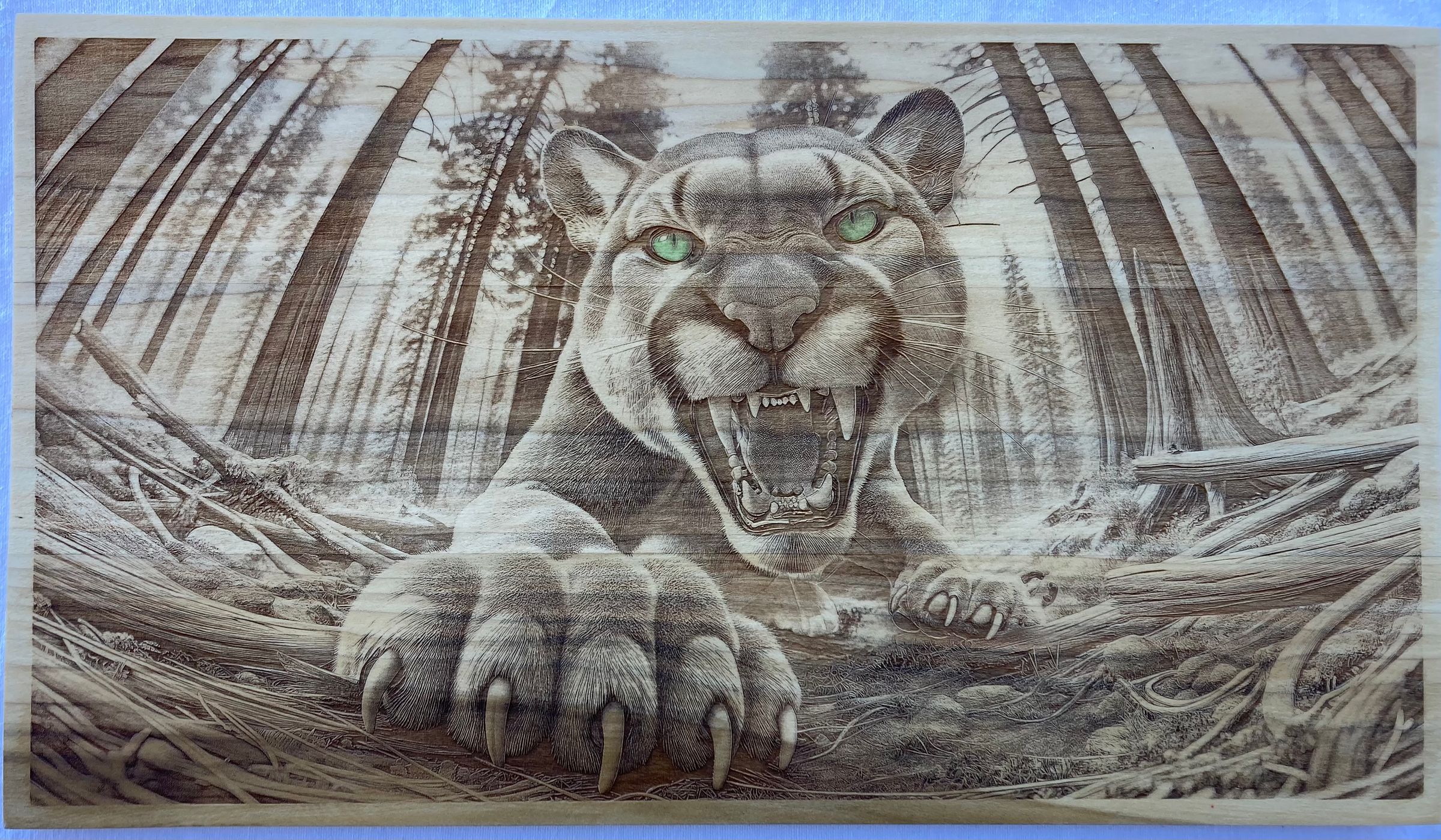 Green Eyed Mountain Lion