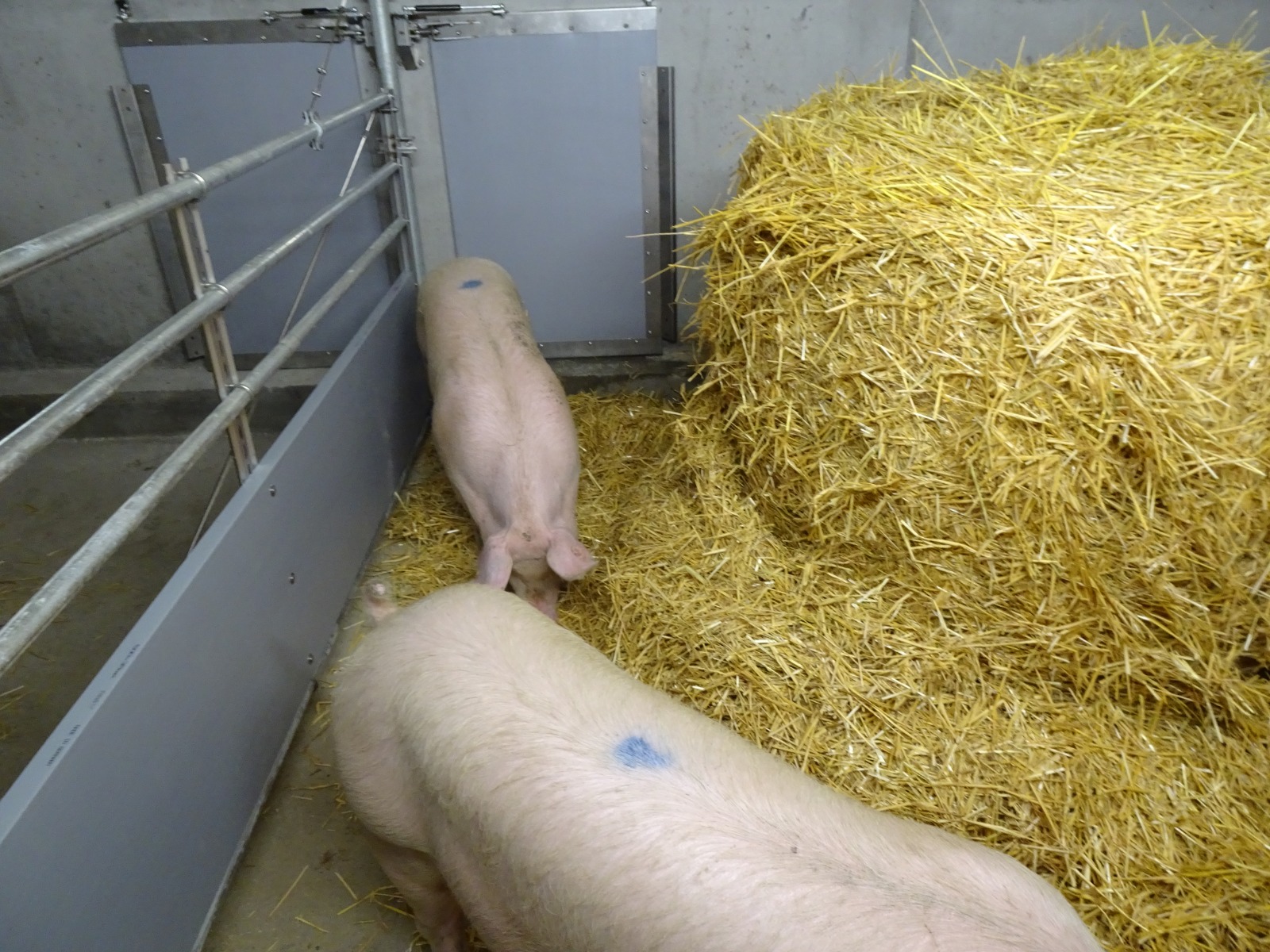 Halbmayr GsbeR's image