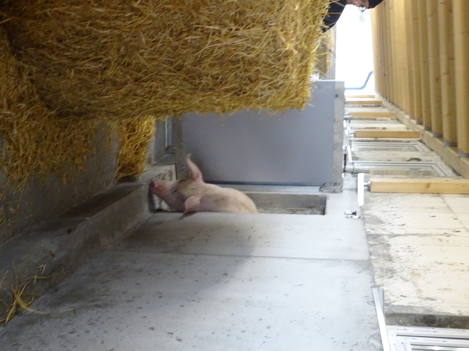 Halbmayr GsbeR's image