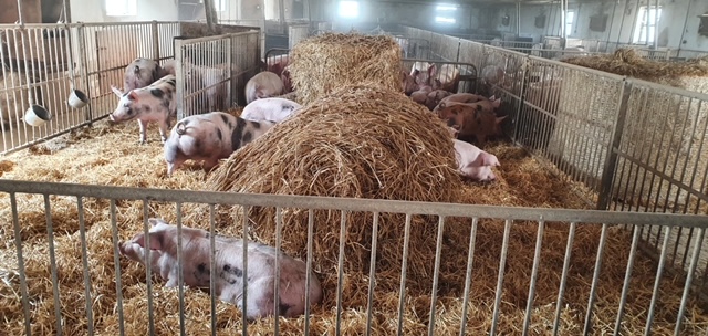 Halbmayr GsbeR's image