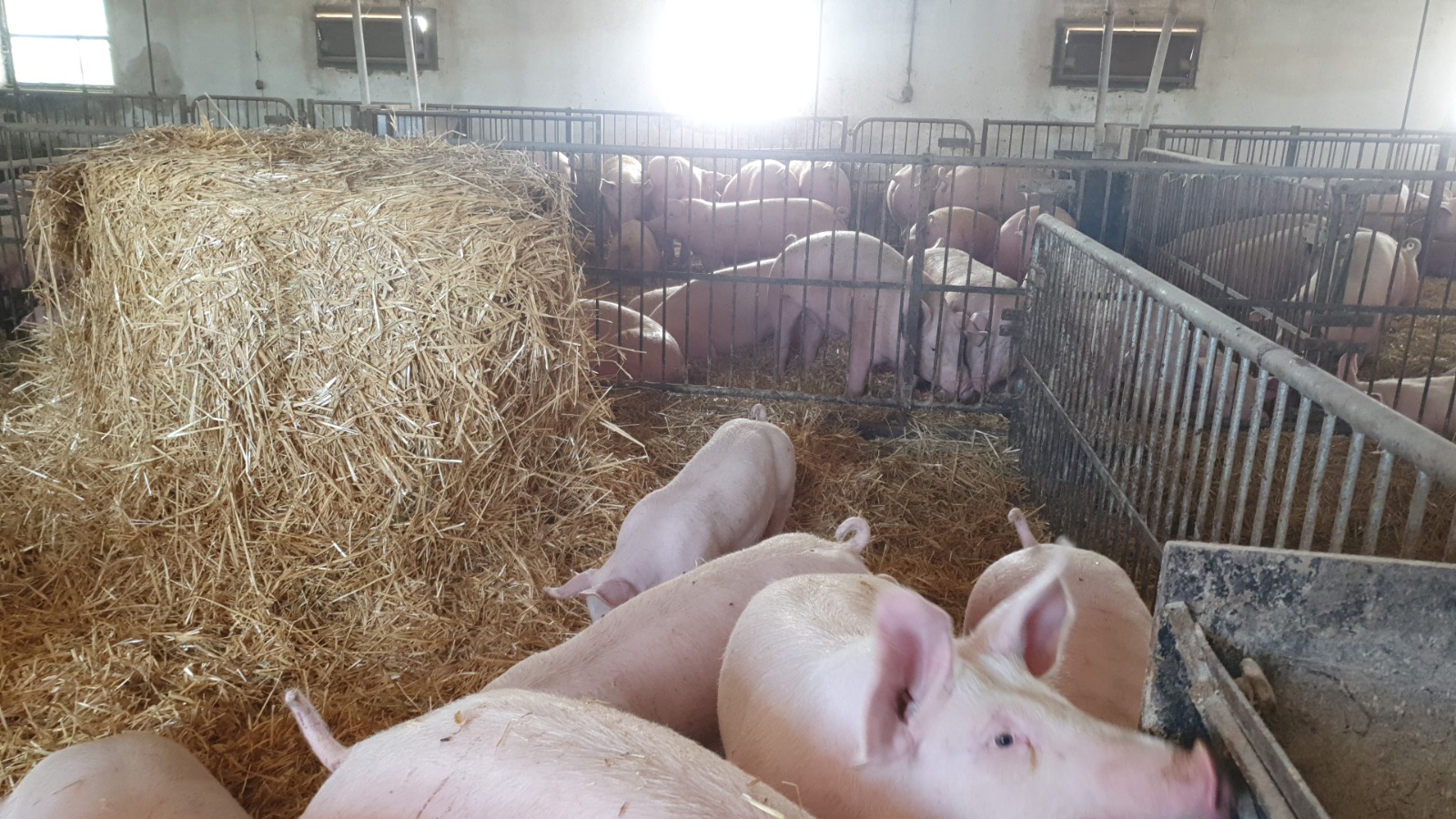 Halbmayr GsbeR's image