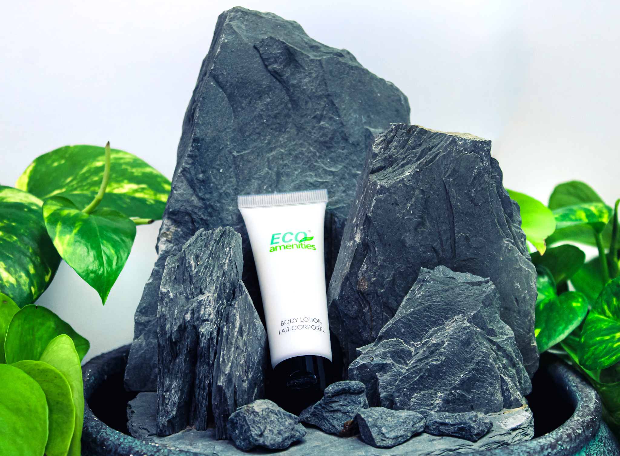 Aloe Vera Hand Lotion