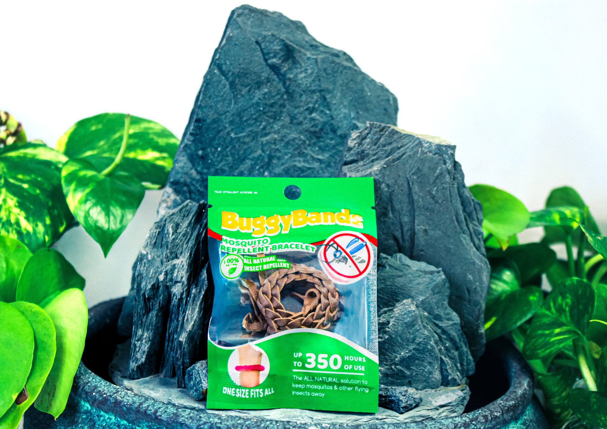  TRAVELER BOX 's image