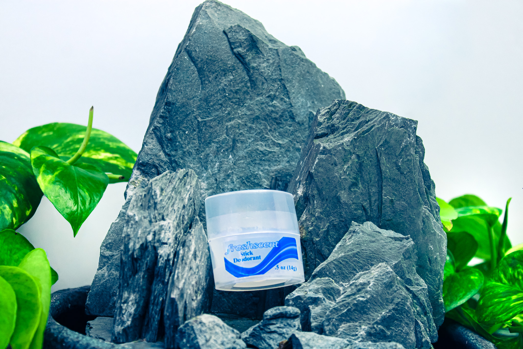  TRAVELER BOX 's image