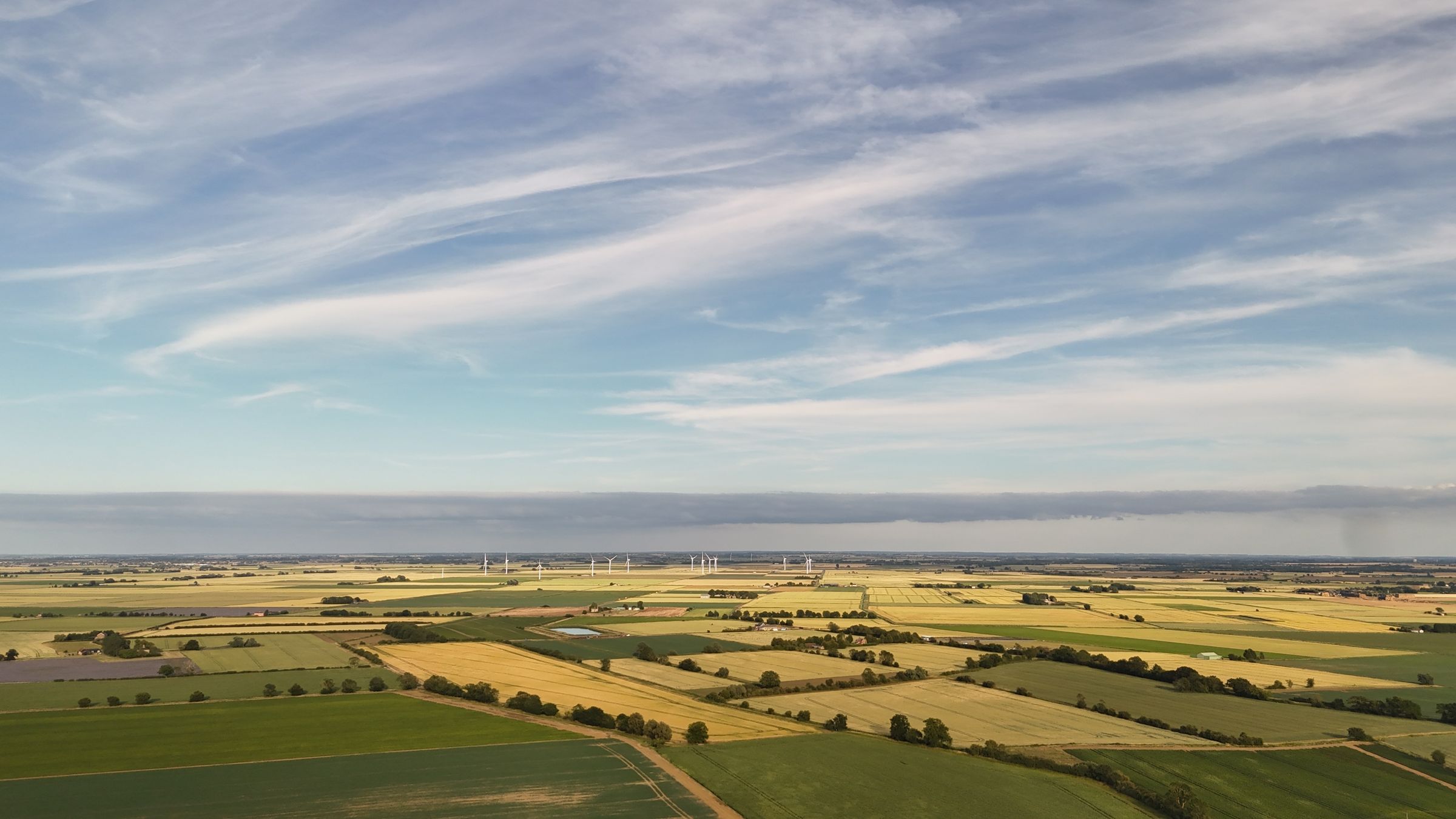 CA Drone Media's image