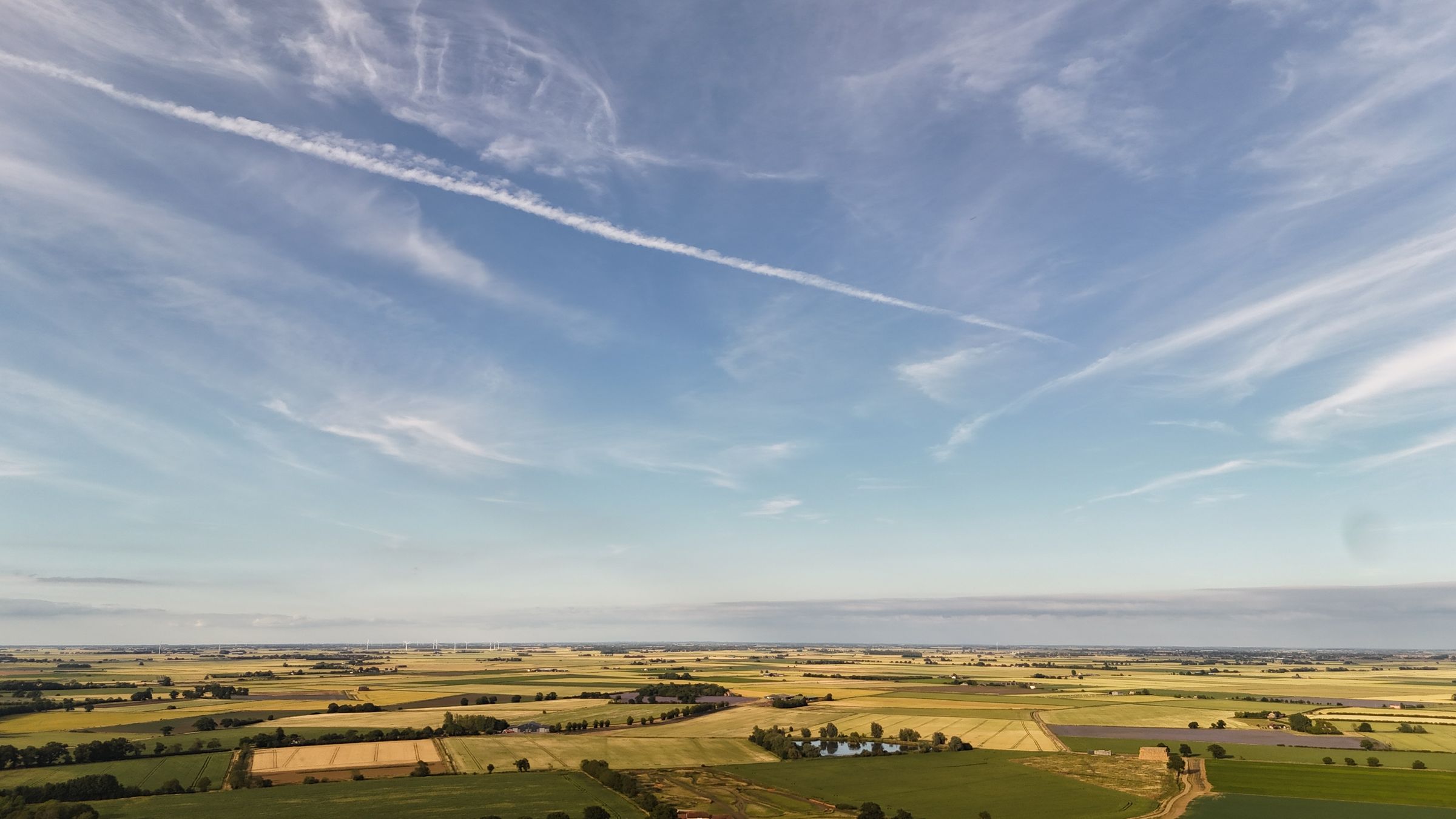 CA Drone Media's image