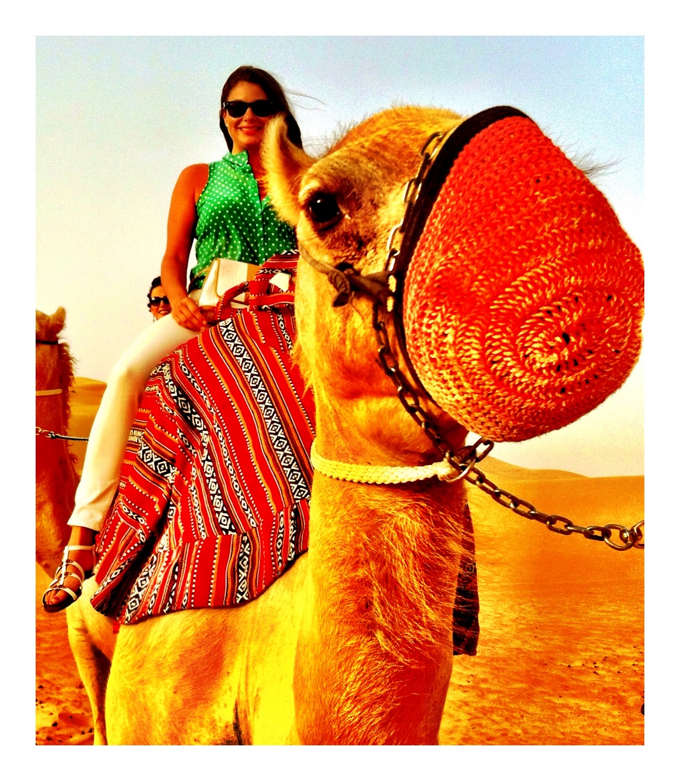 Point Taken Travel's image