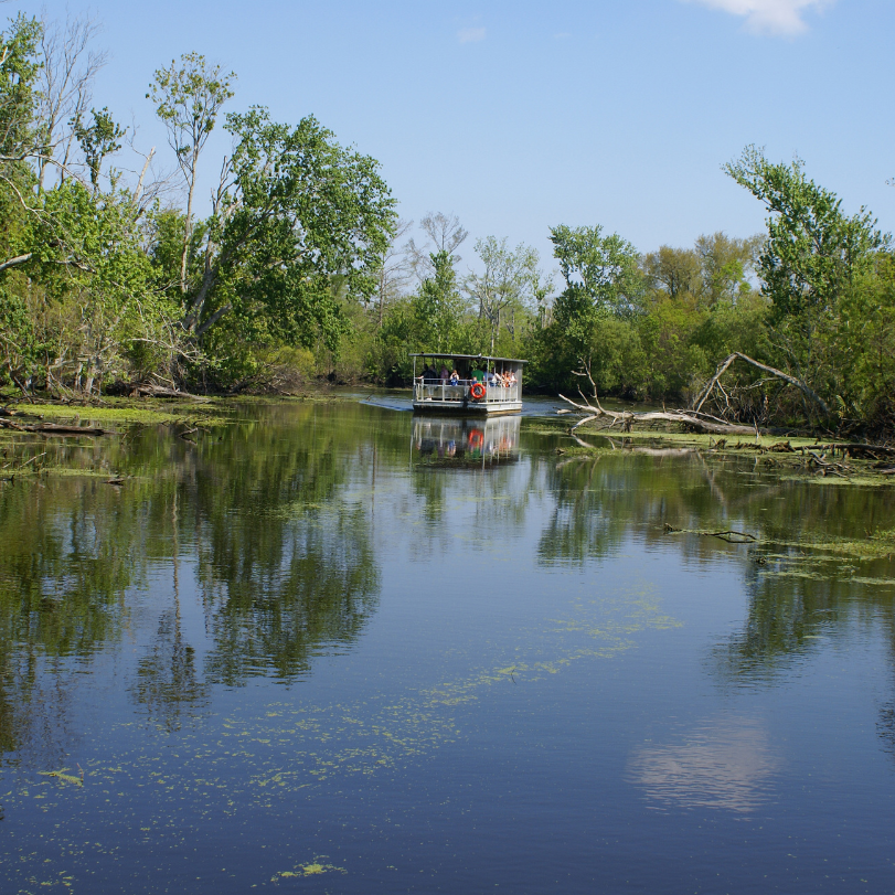 Perch Point's image