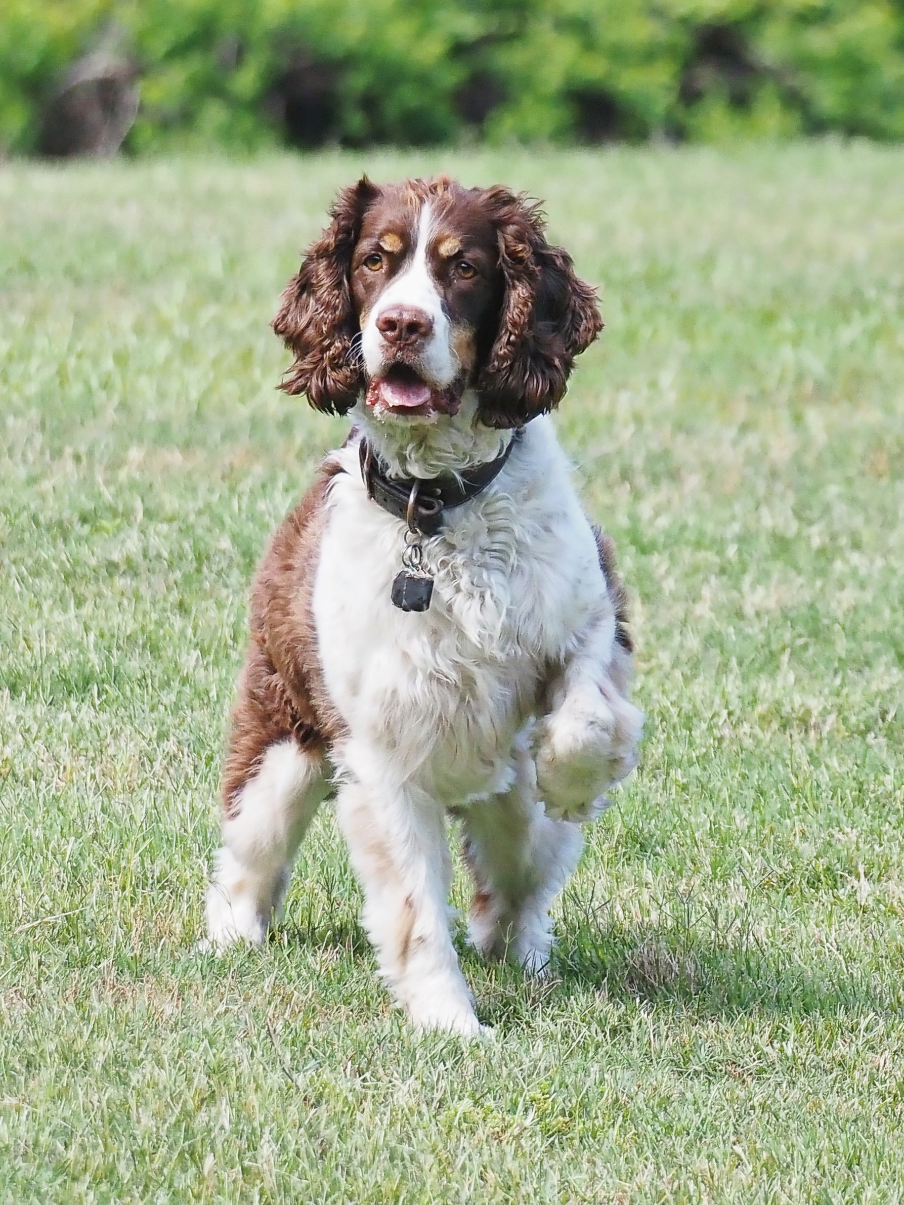 Bosley Images's image